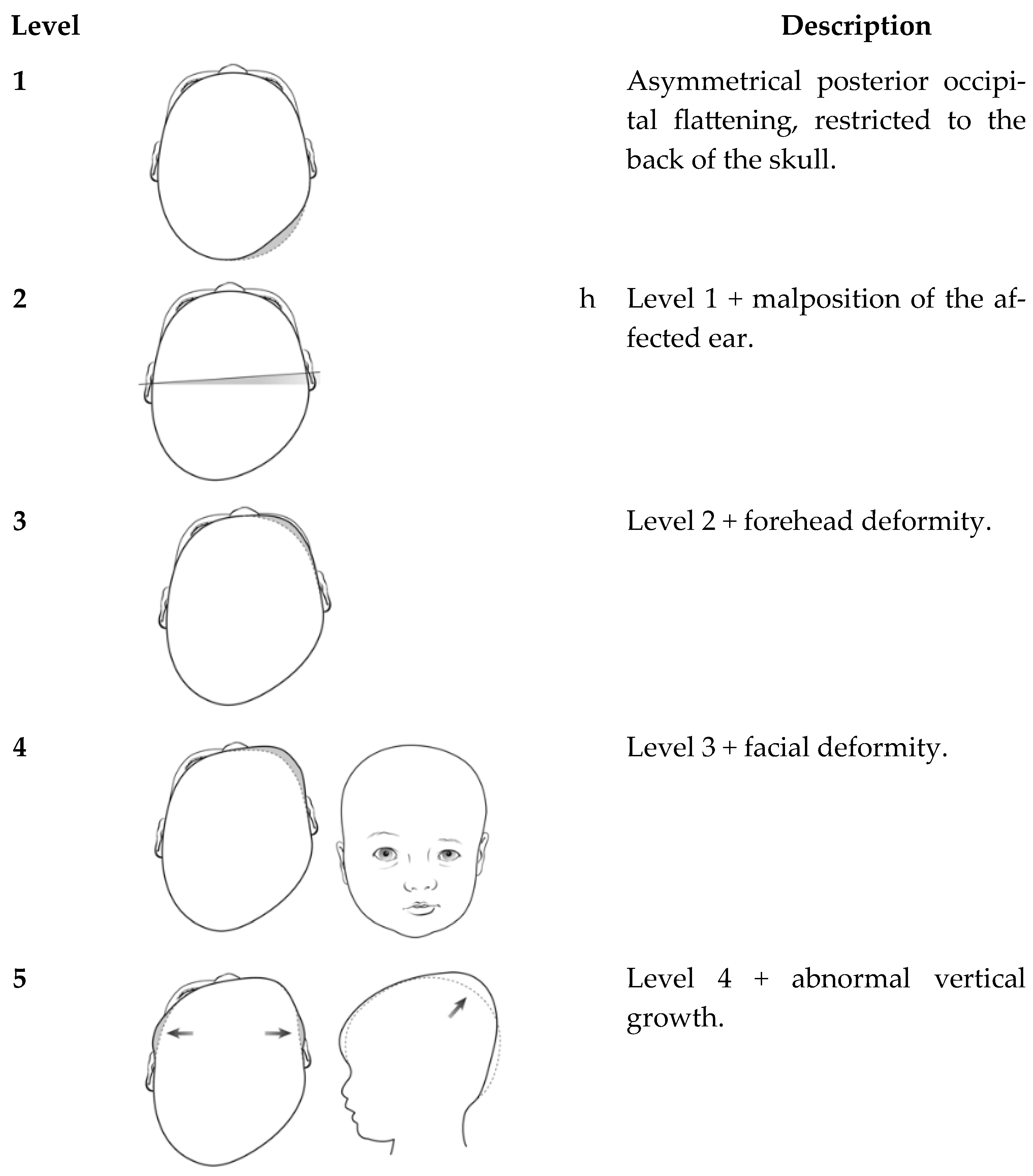 Applsci 15 10130 g001