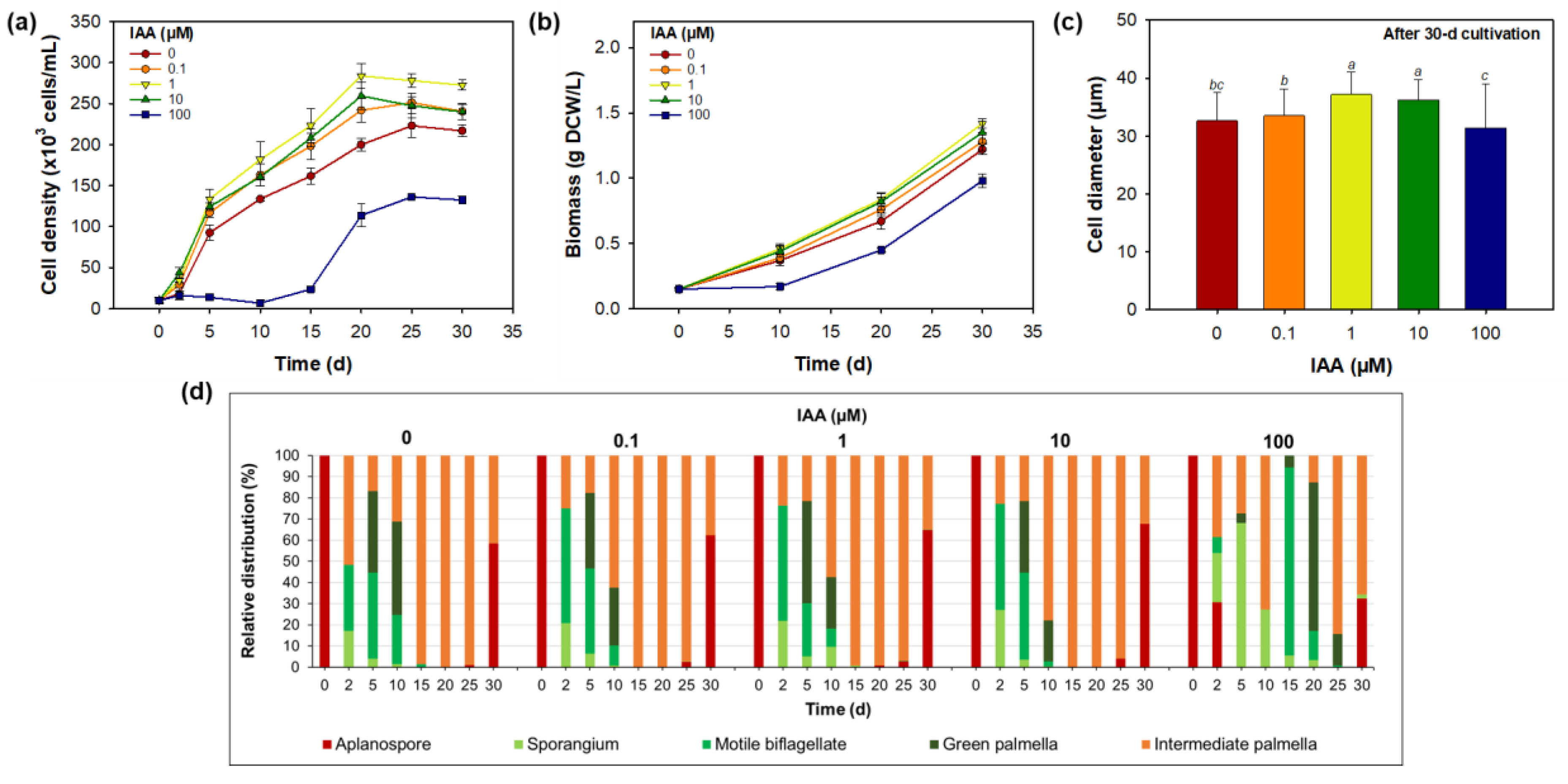 Applsci 15 10136 g002 Applsci 15 10136 g002