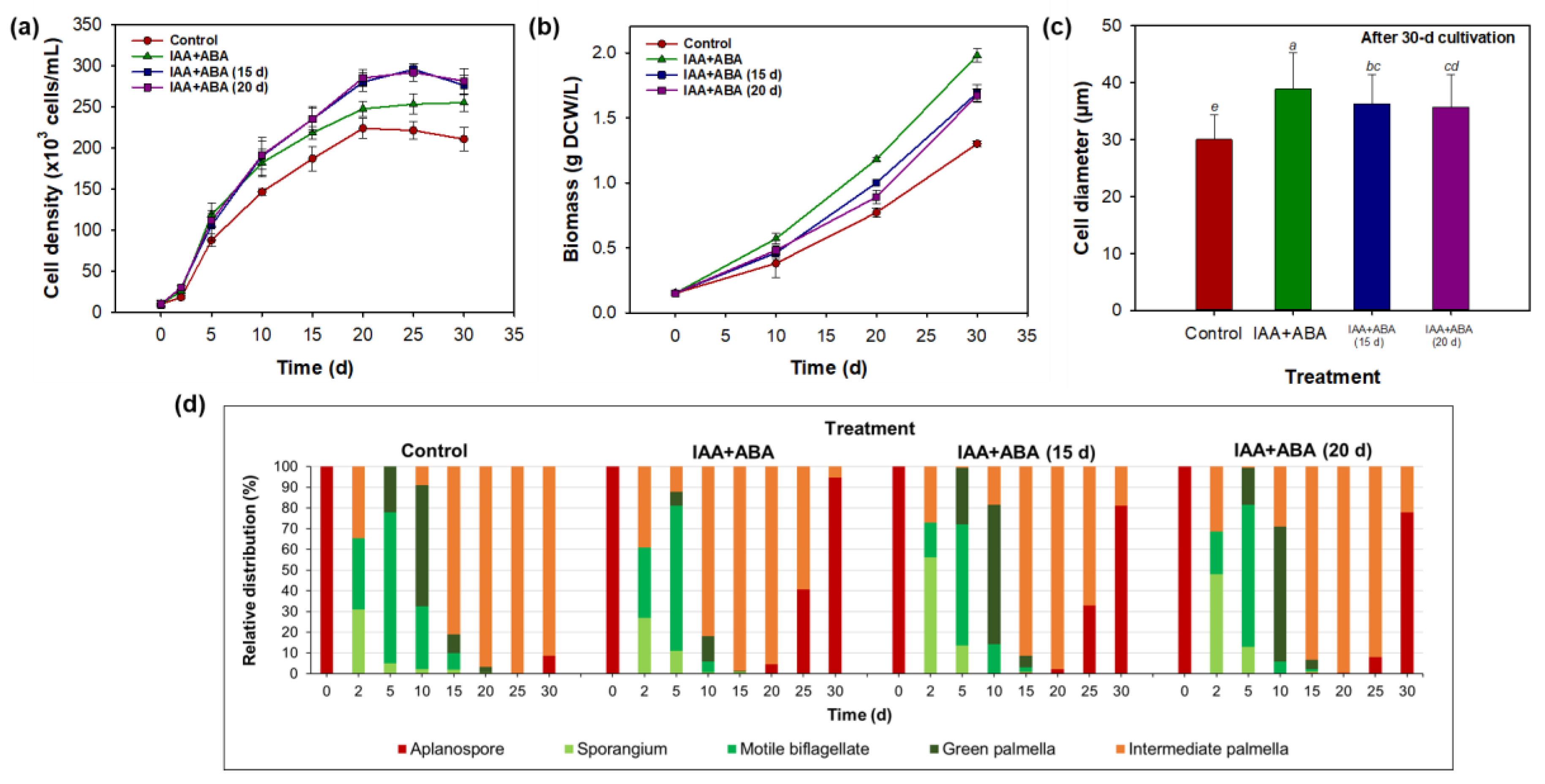 Applsci 15 10136 g006 Applsci 15 10136 g006