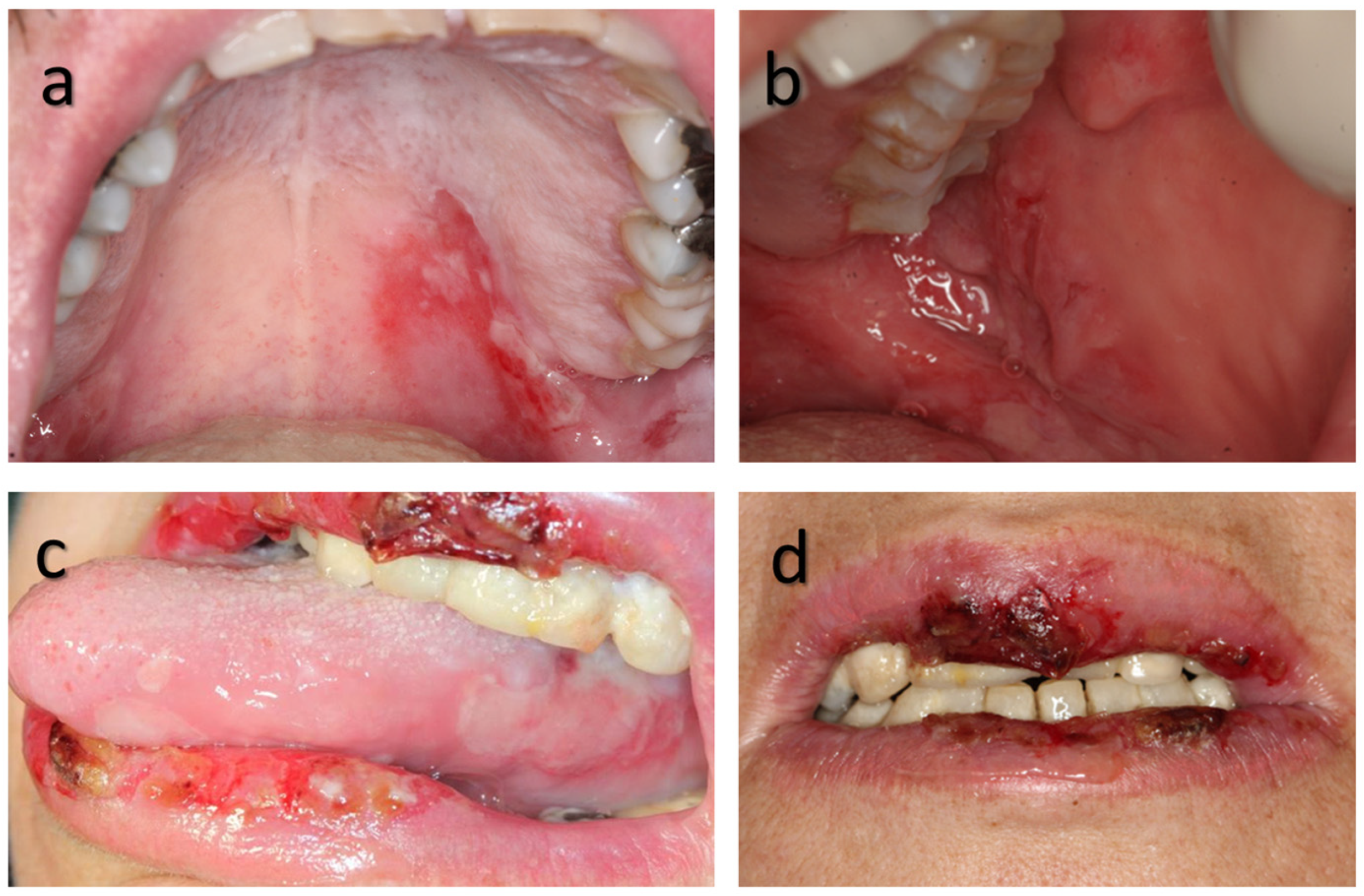 Applsci 15 10145 g002 Applsci 15 10145 g002