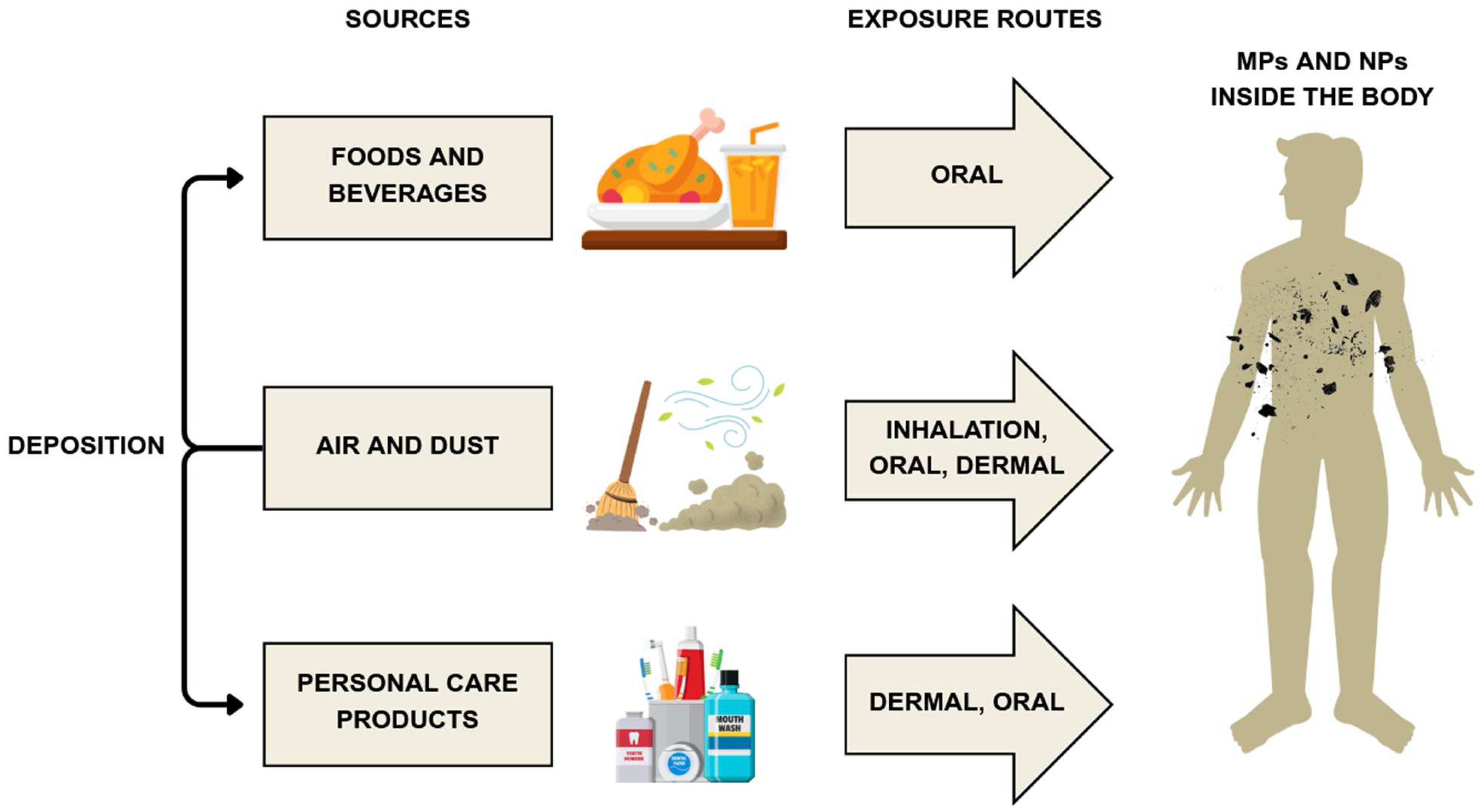 Applsci 15 10146 g002 Applsci 15 10146 g002