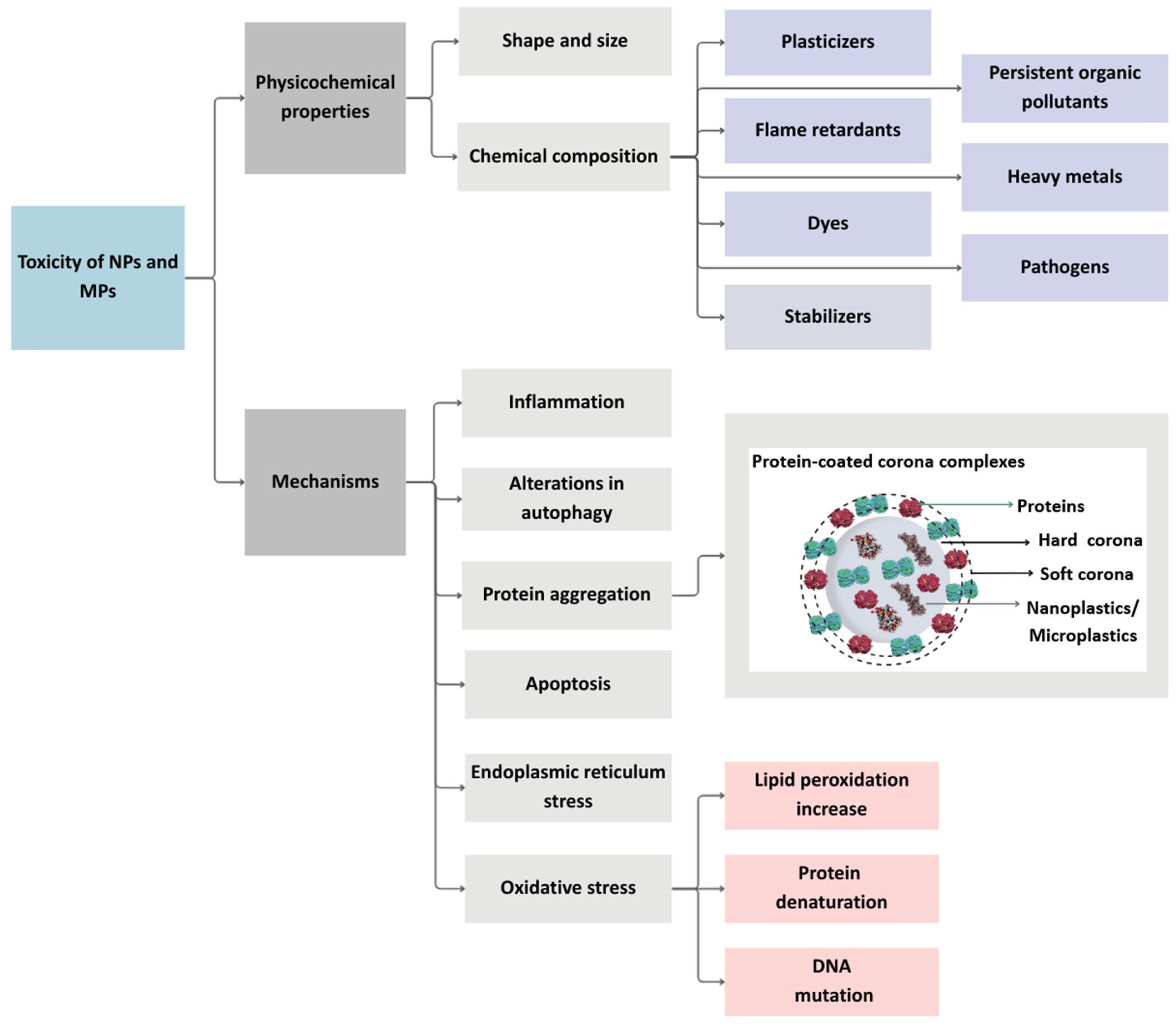 Applsci 15 10146 g003 Applsci 15 10146 g003