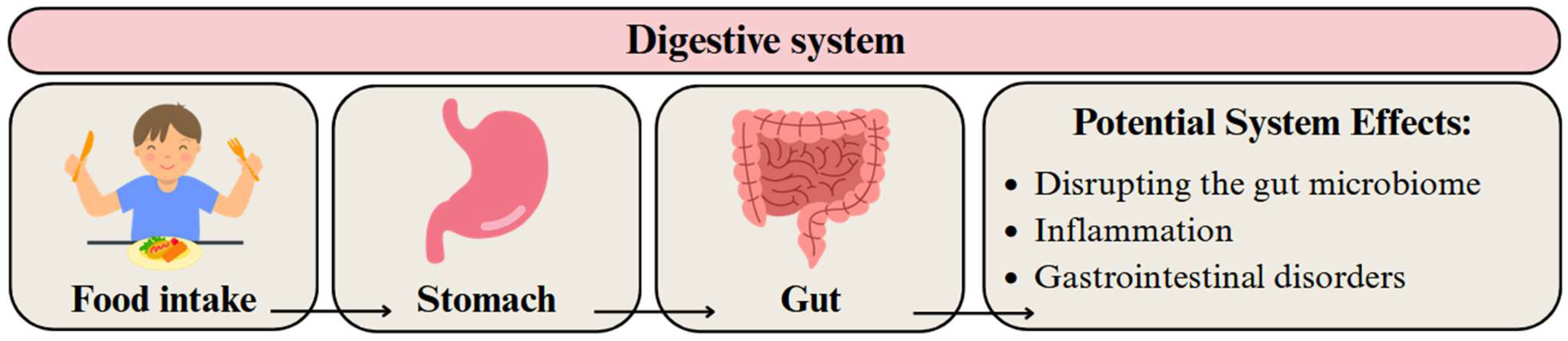 Applsci 15 10146 g004 Applsci 15 10146 g004