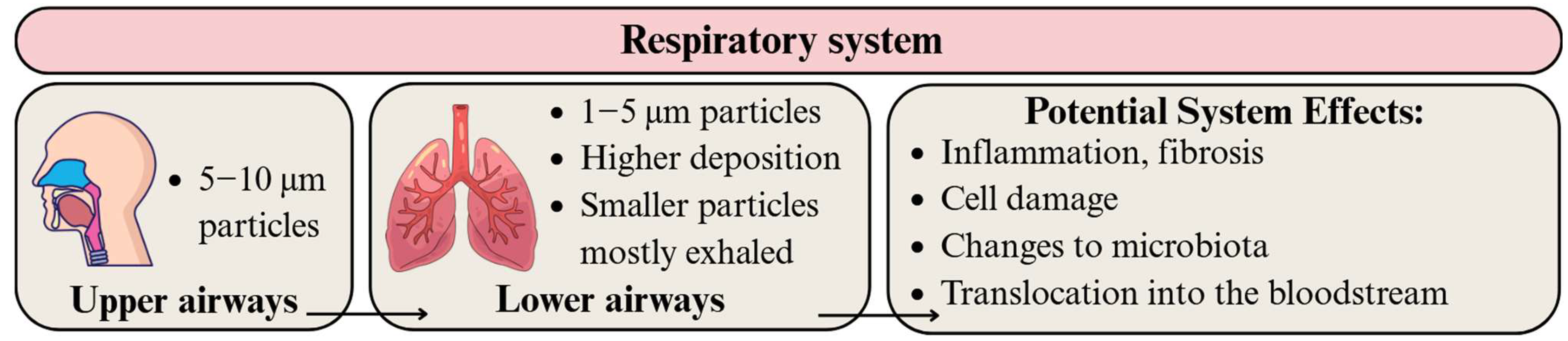 Applsci 15 10146 g005 Applsci 15 10146 g005