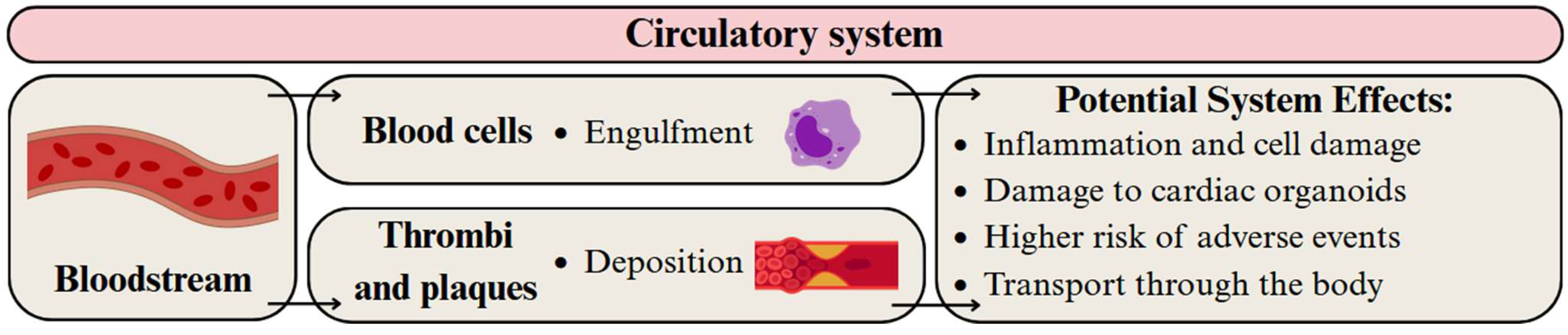 Applsci 15 10146 g006 Applsci 15 10146 g006