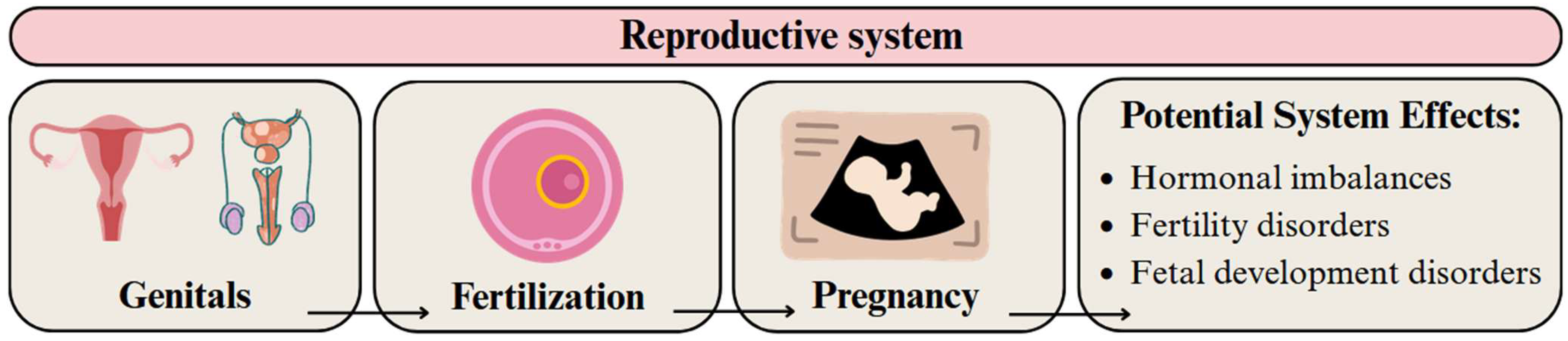 Applsci 15 10146 g008 Applsci 15 10146 g008