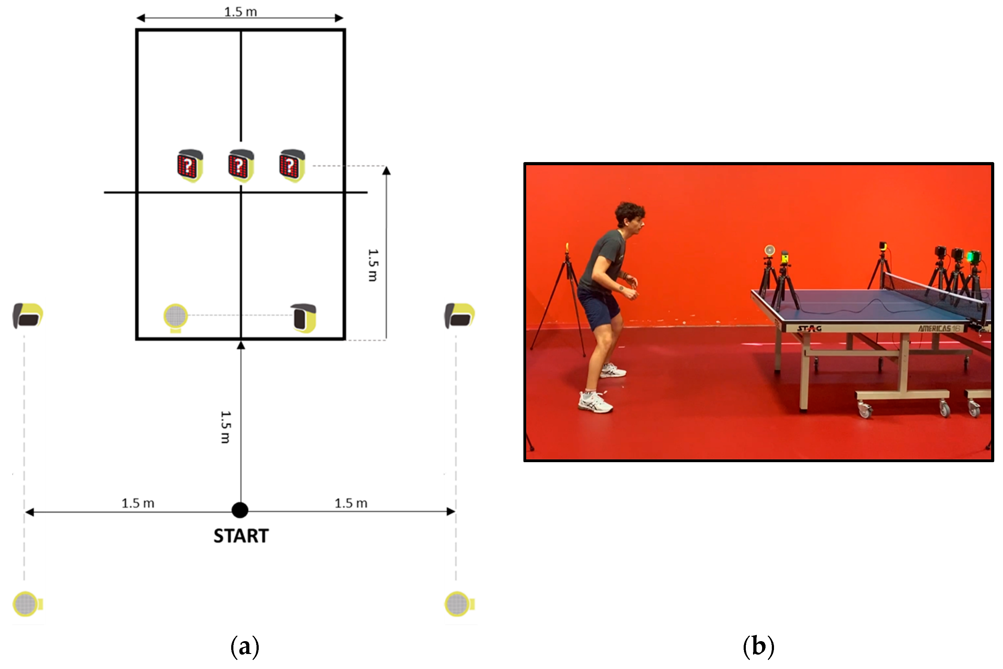 Applsci 15 10163 g001 Applsci 15 10163 g001