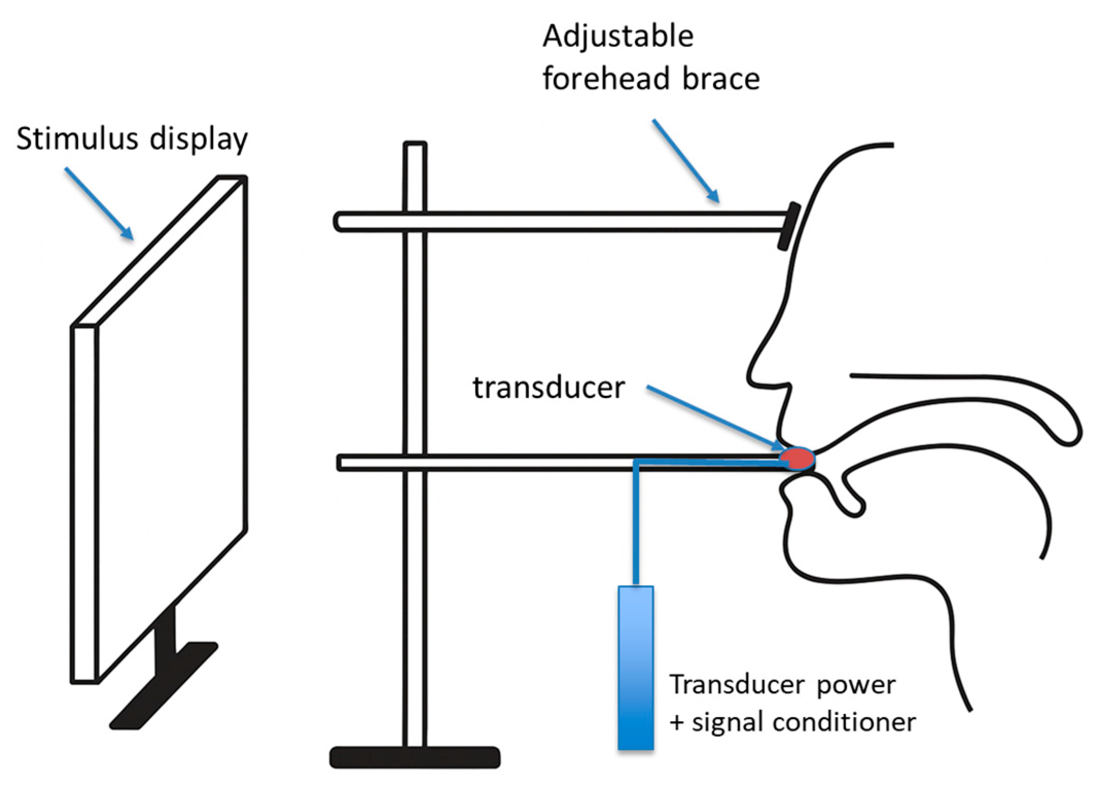 Applsci 15 10165 g002