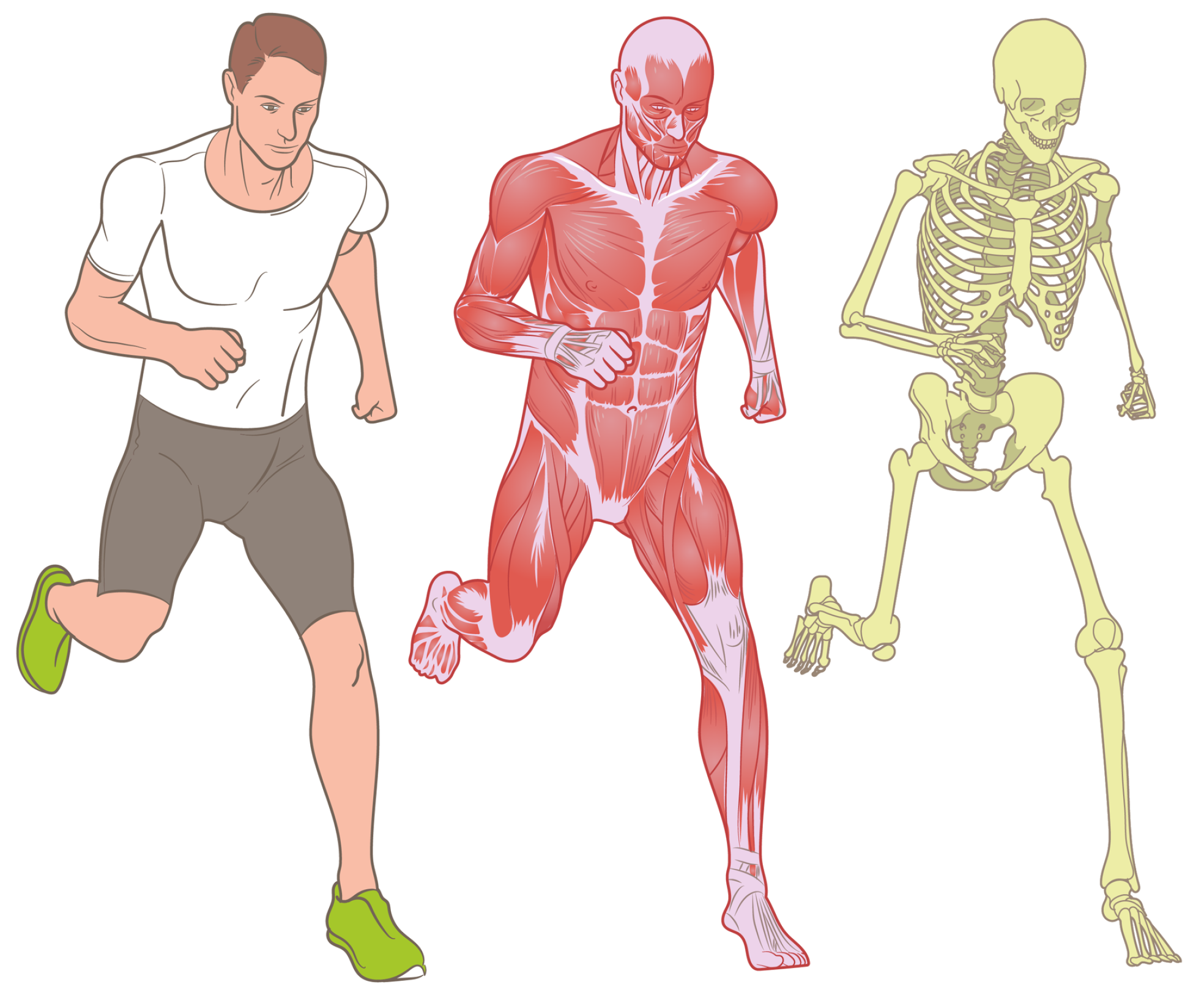 Applsci 15 10167 g004