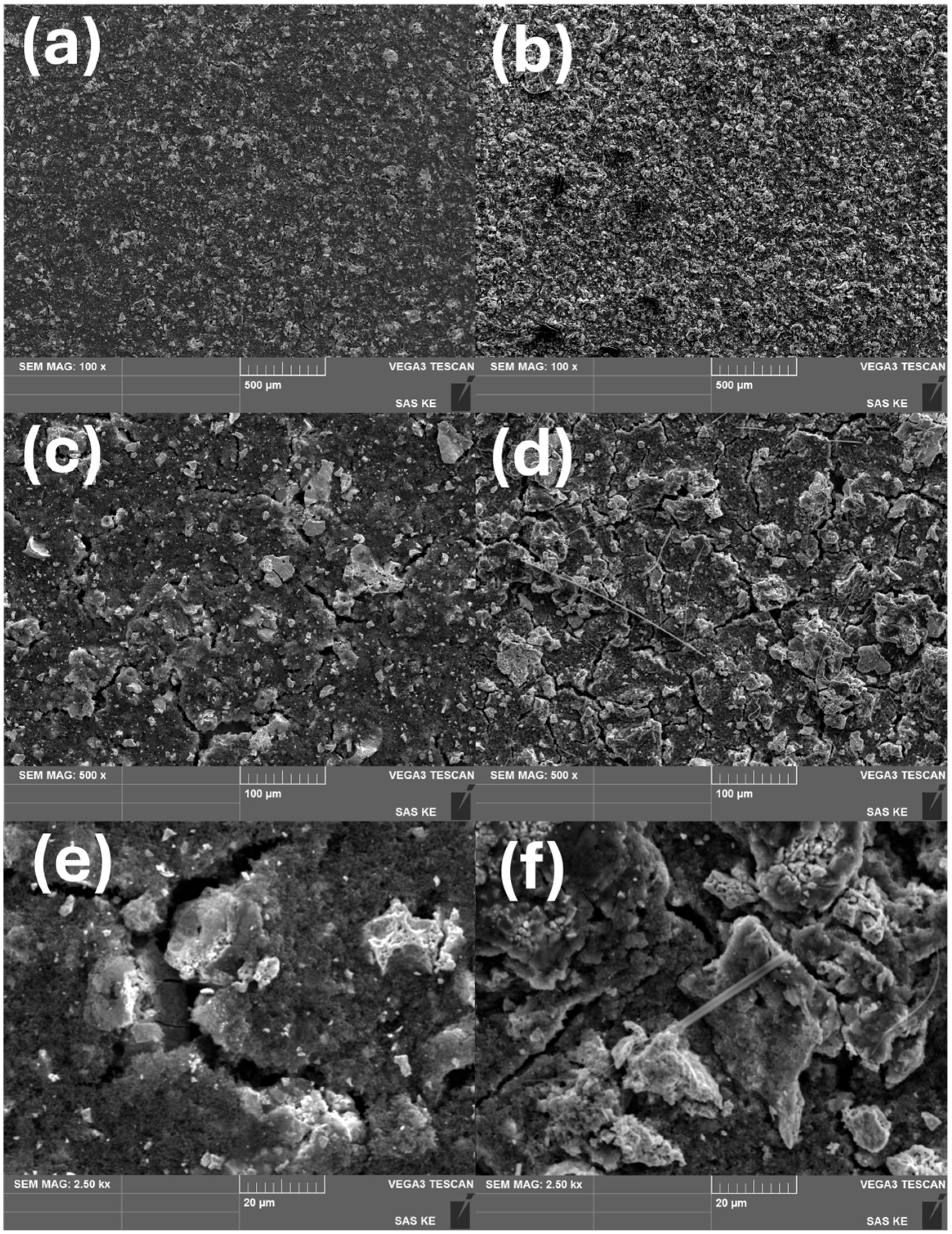 Applsci 15 10171 g008