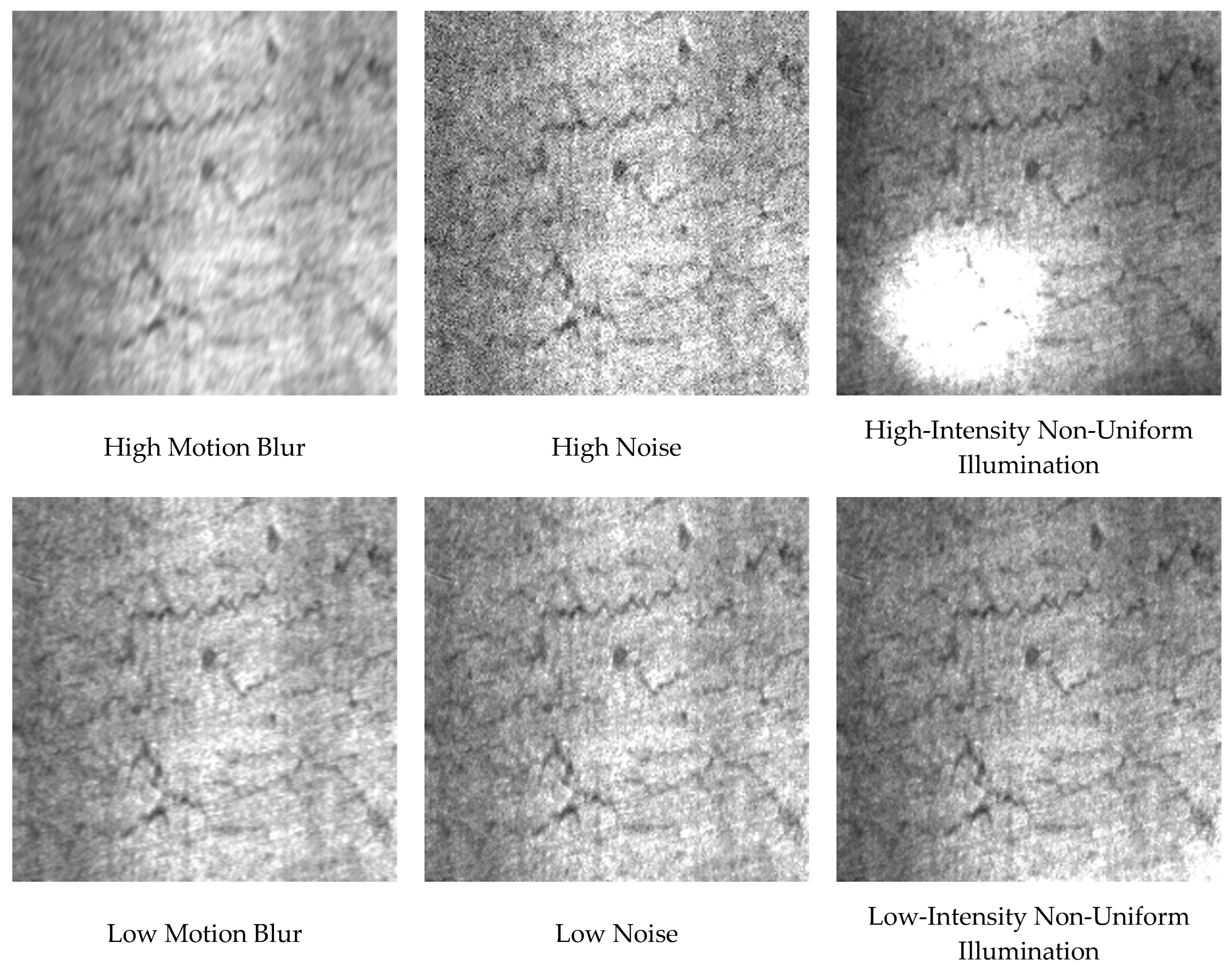 Applsci 15 10176 g002