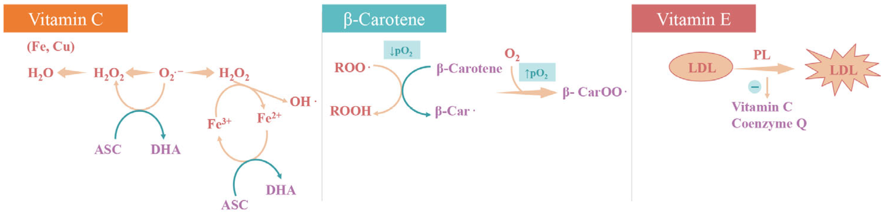 Applsci 15 10191 g002 Applsci 15 10191 g002