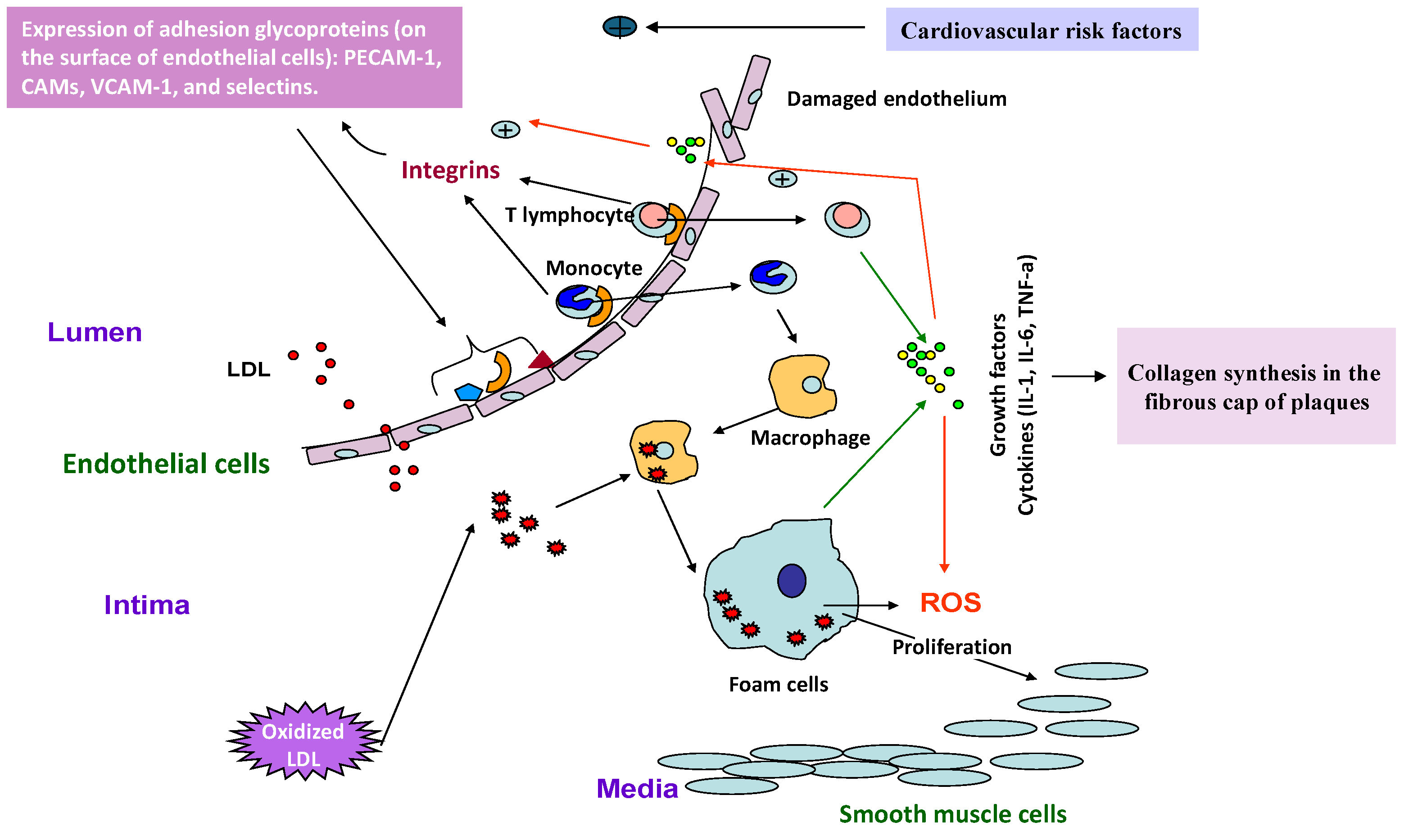 Applsci 15 10191 g003 Applsci 15 10191 g003