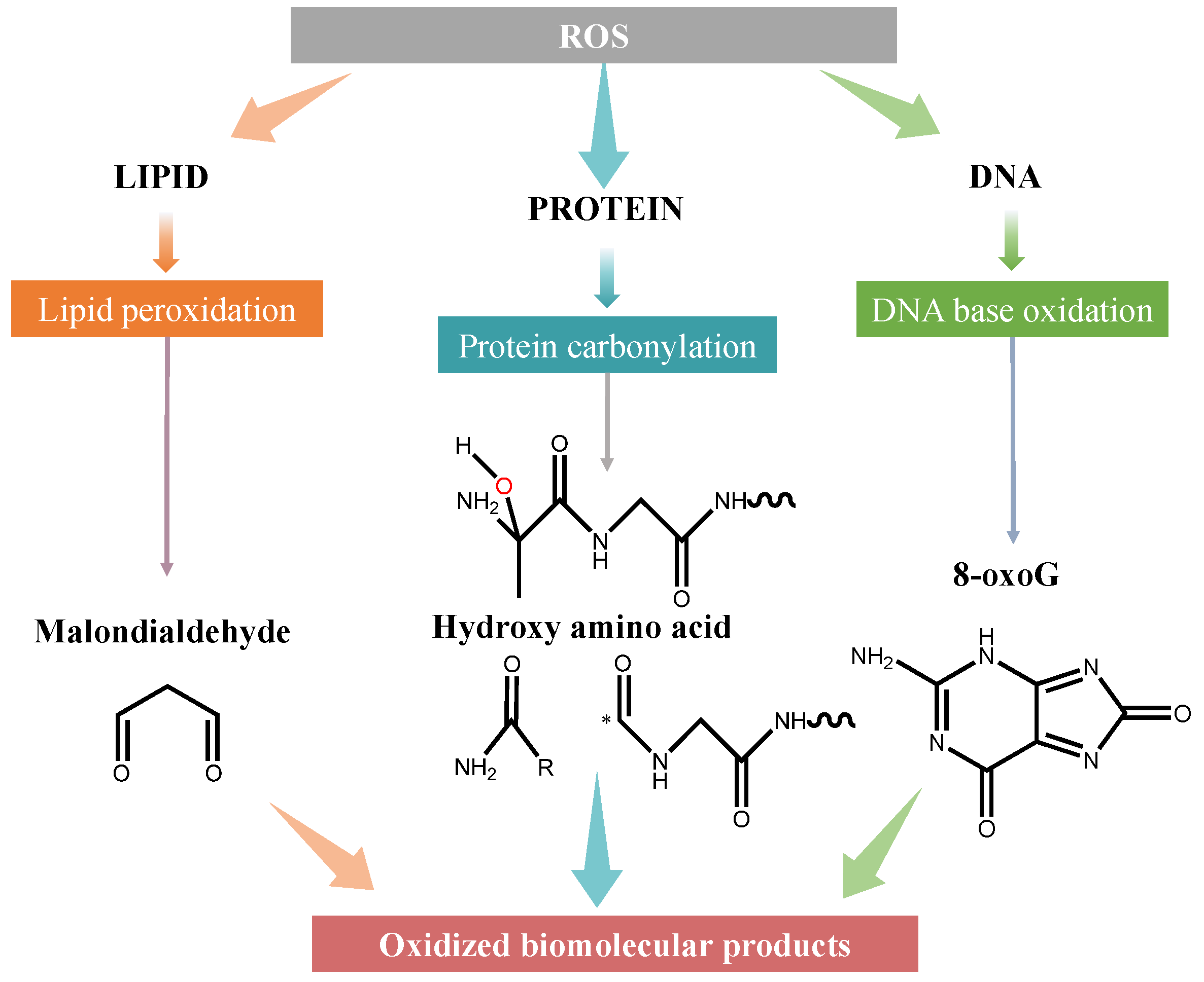 Applsci 15 10191 sch001 Applsci 15 10191 sch001