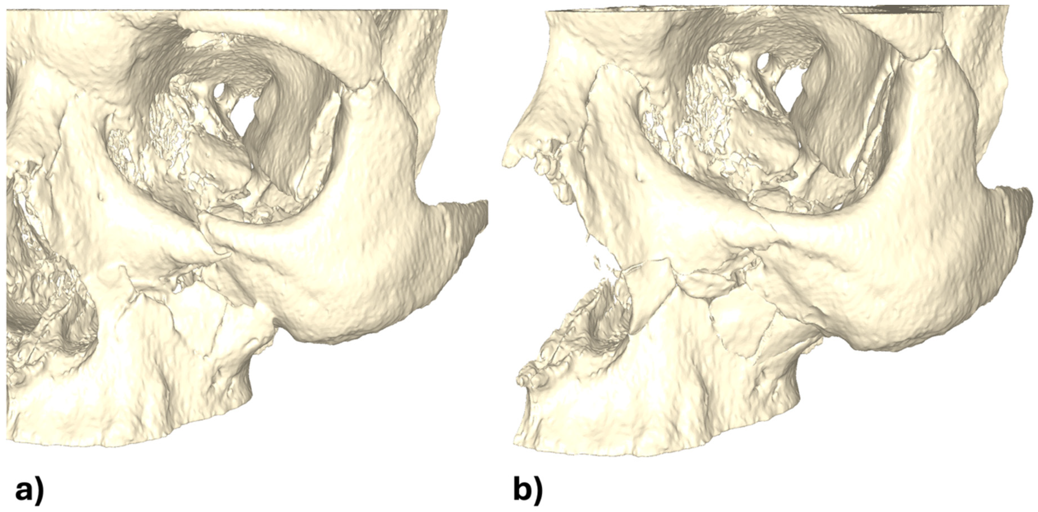 Applsci 15 10194 g002