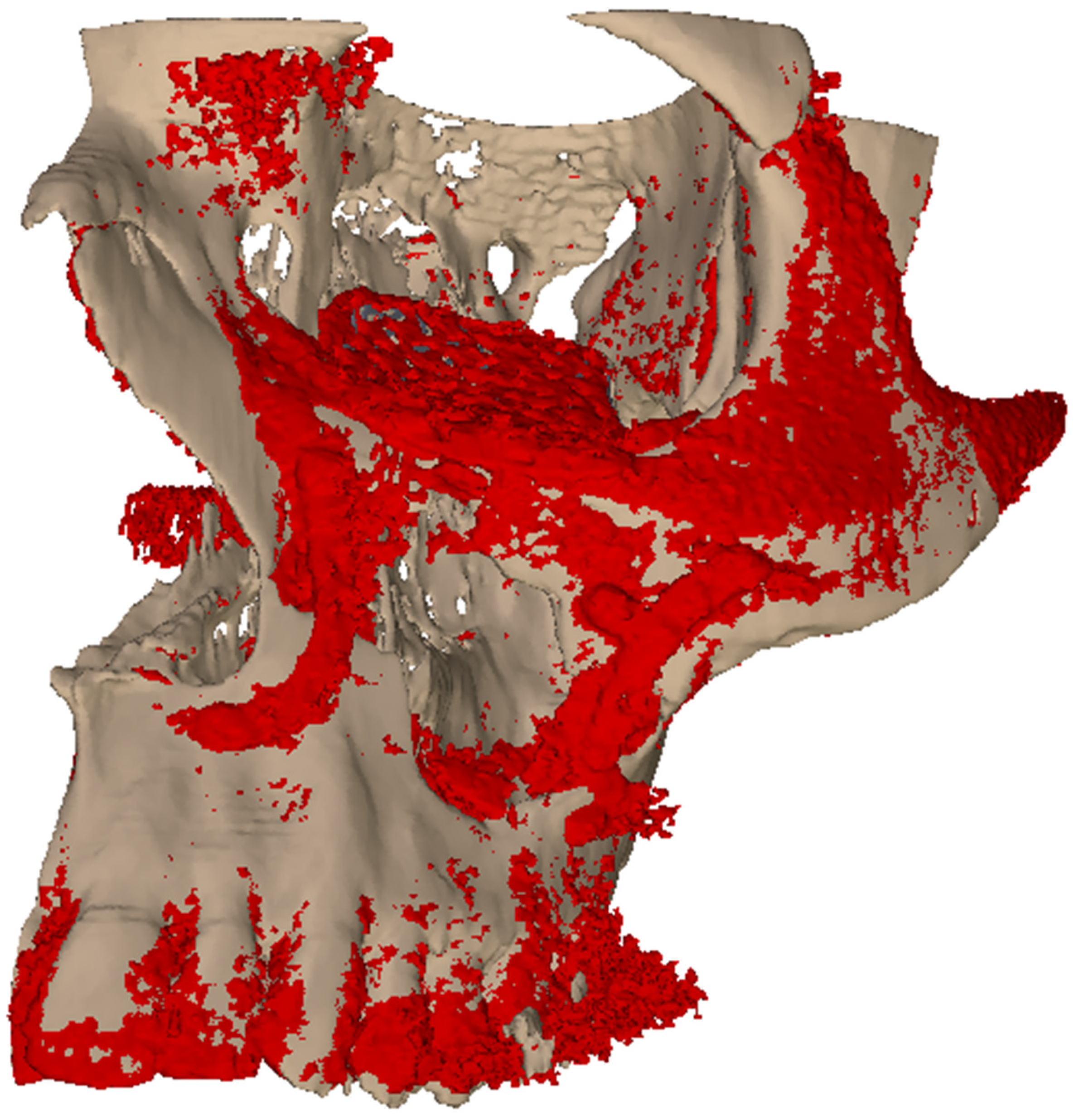 Applsci 15 10194 g011