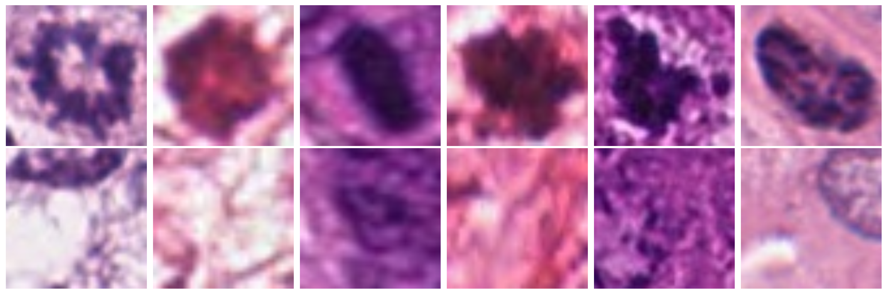 Applsci 15 10195 g001