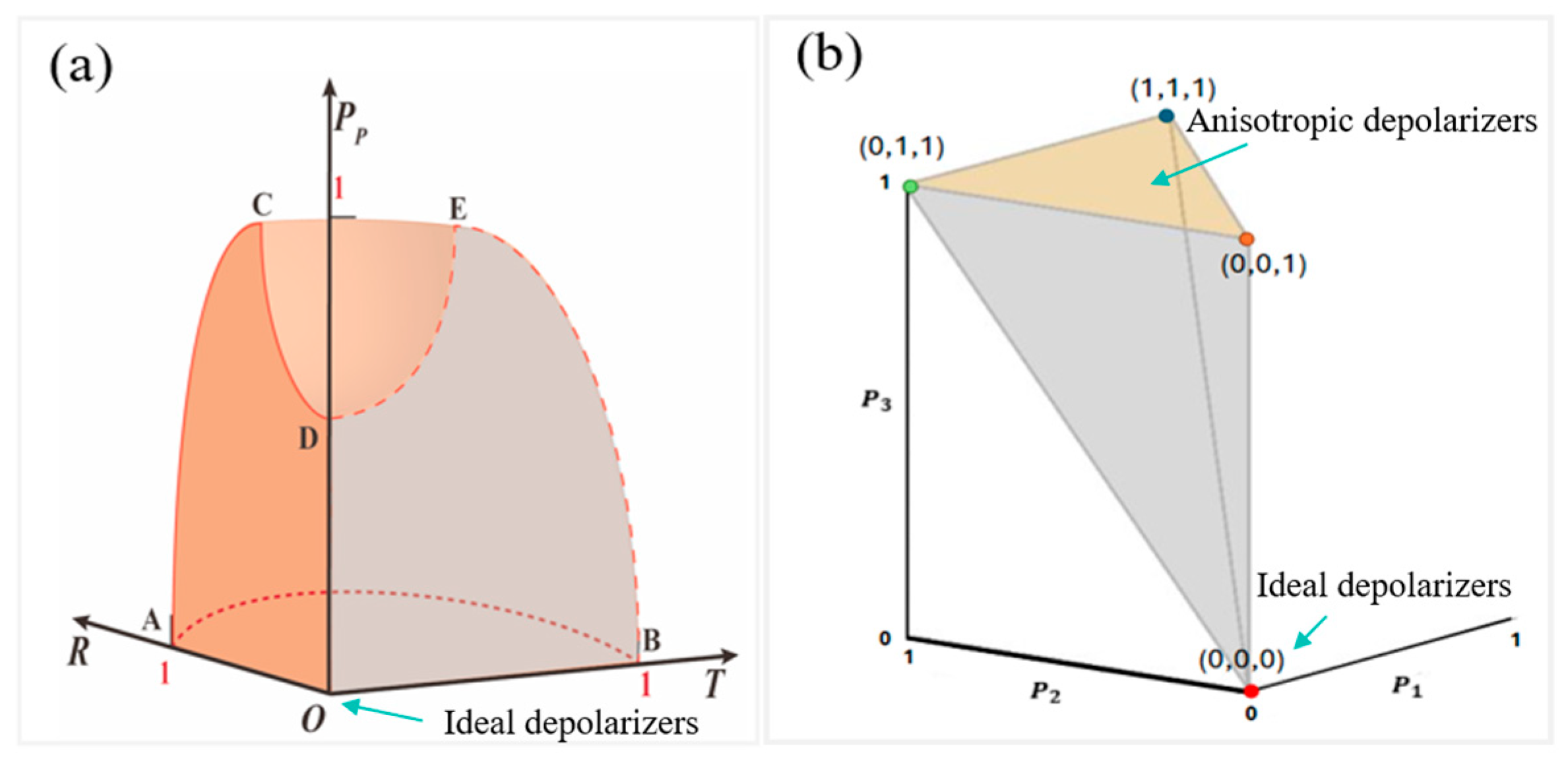 Applsci 15 10205 g001