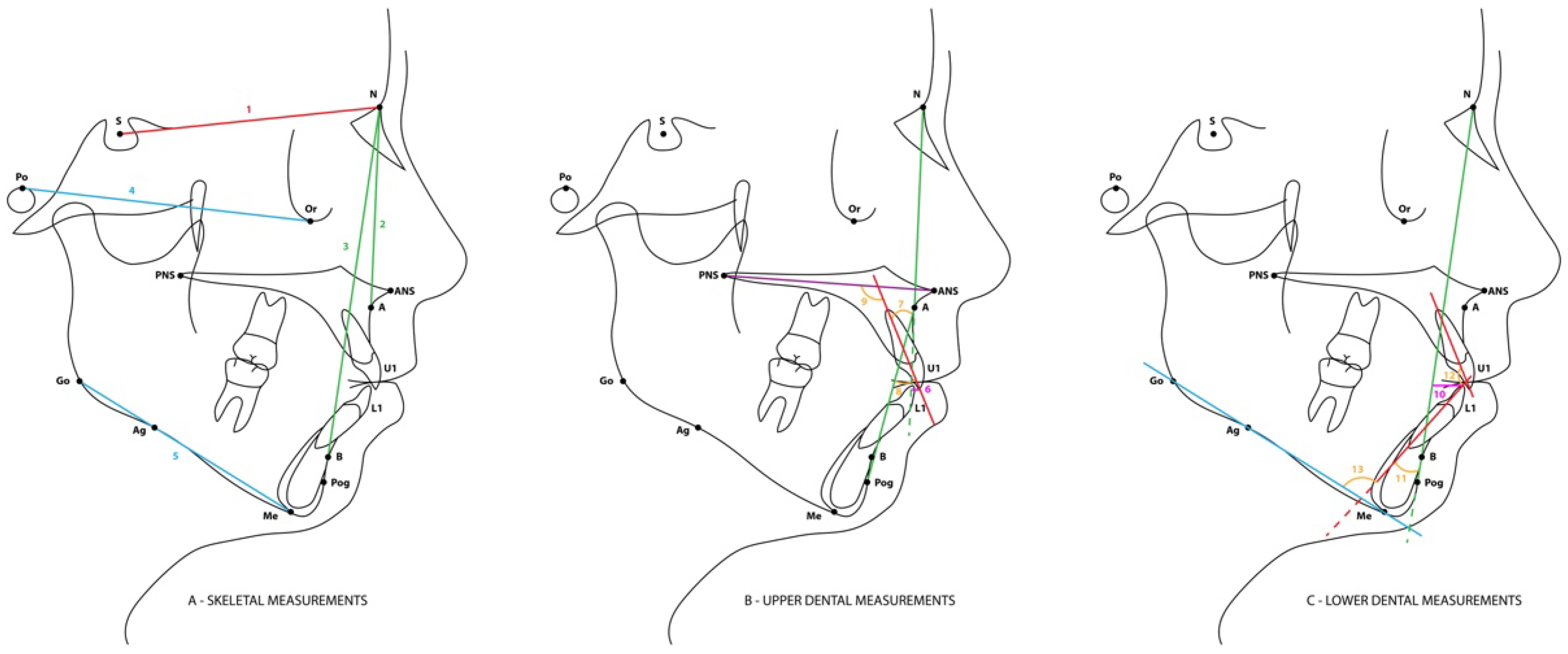 Applsci 15 10231 g001