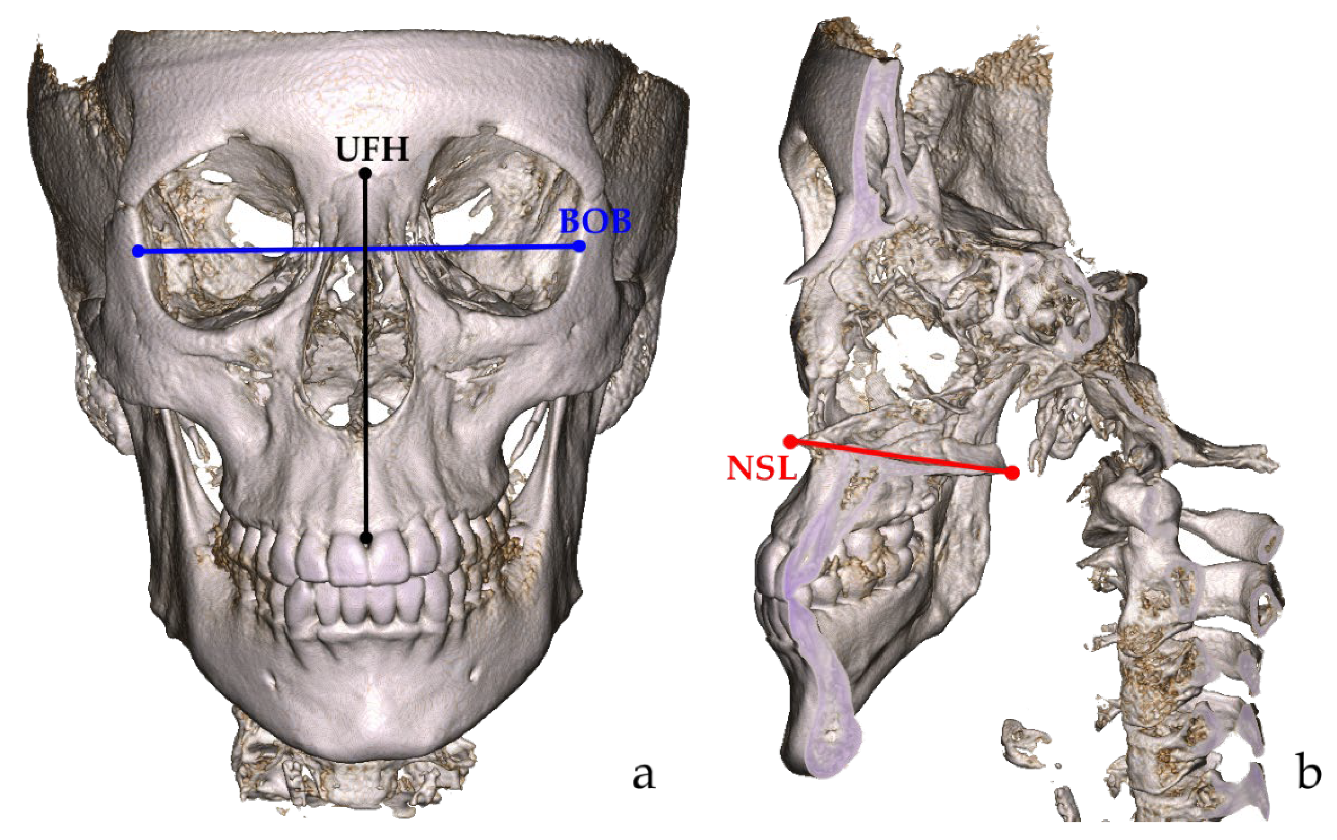Applsci 15 10232 g002 Applsci 15 10232 g002