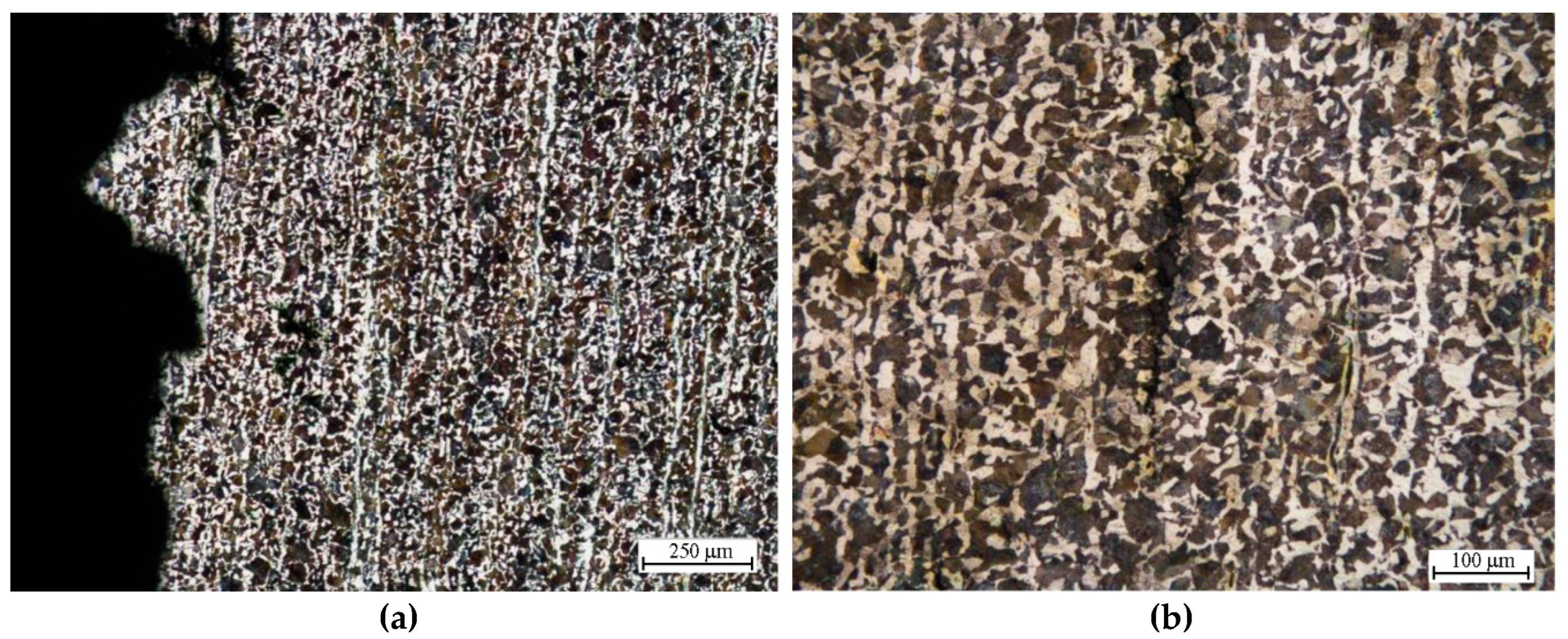 Applsci 15 10234 g016