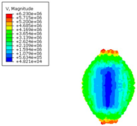 Applsci 15 10234 i009