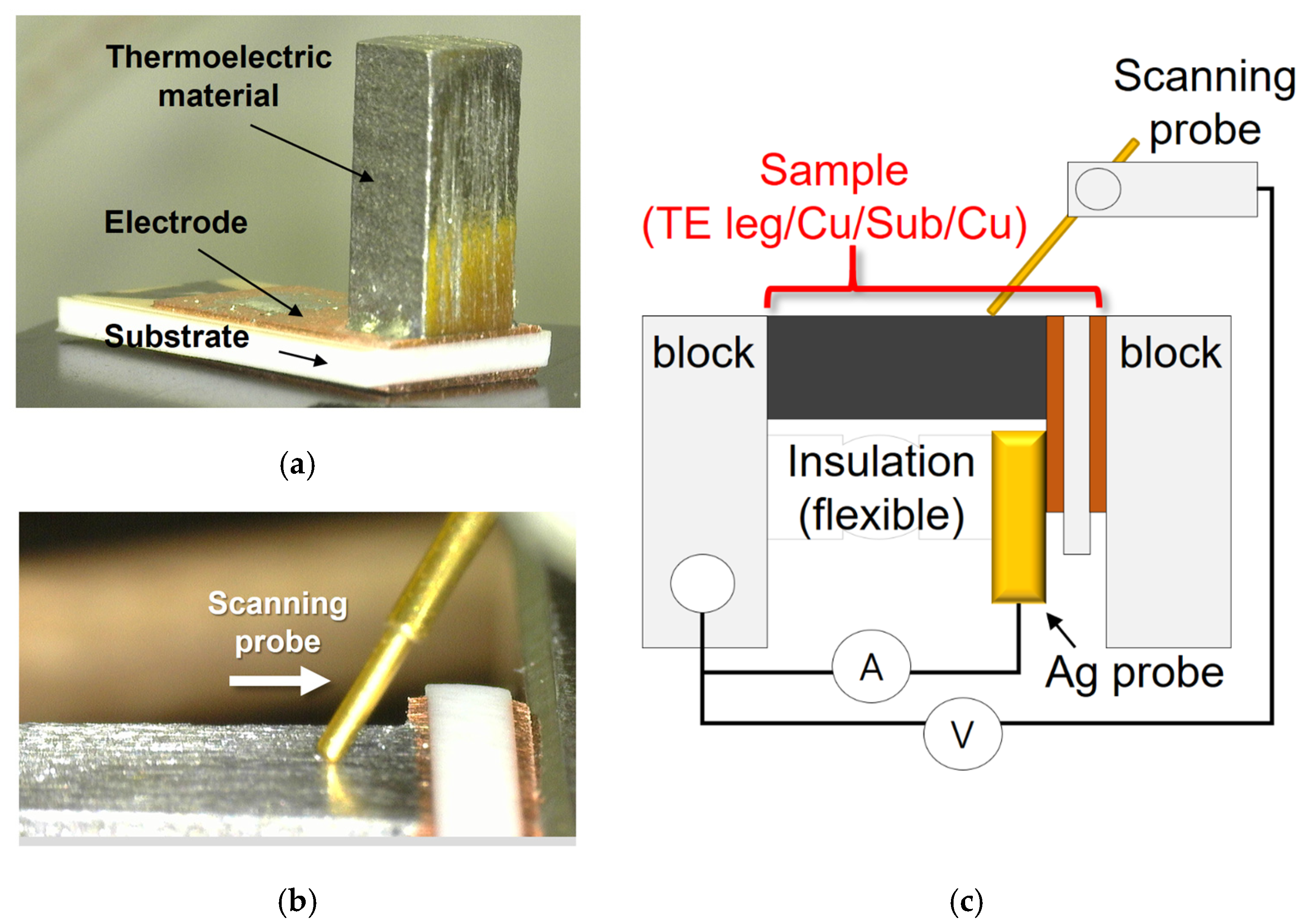 Applsci 15 10273 g006 Applsci 15 10273 g006