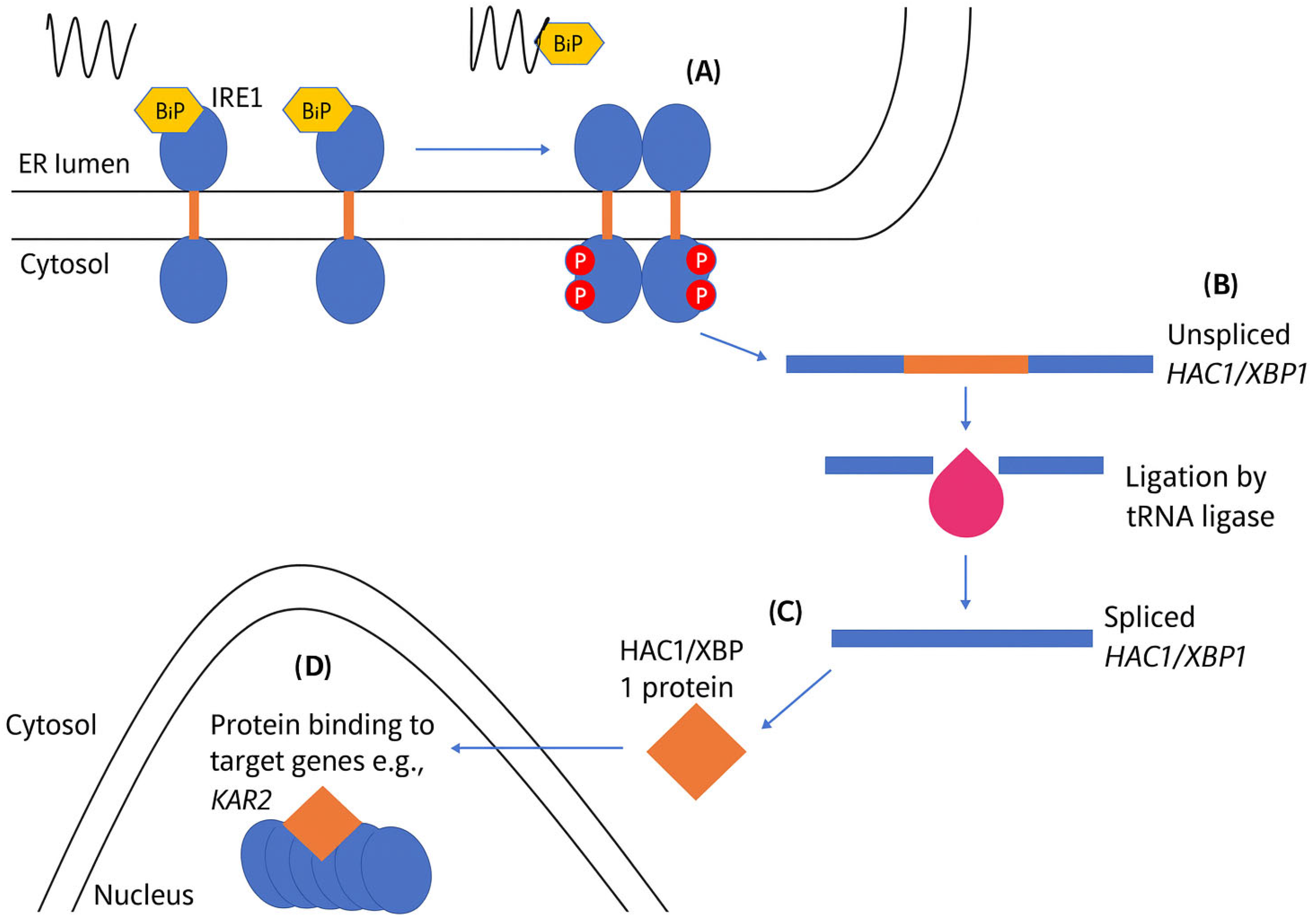 Applsci 15 10285 g002 Applsci 15 10285 g002