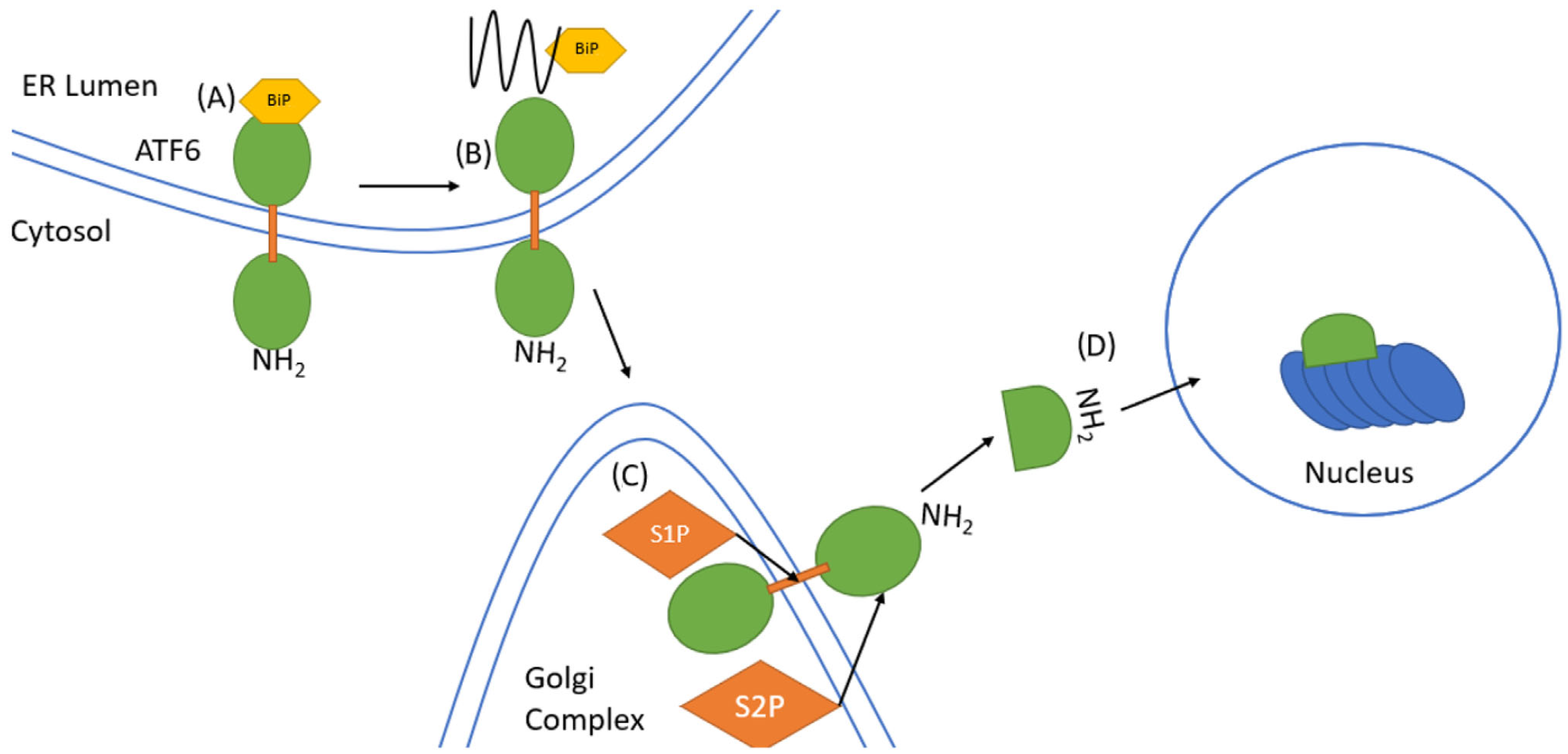 Applsci 15 10285 g004 Applsci 15 10285 g004