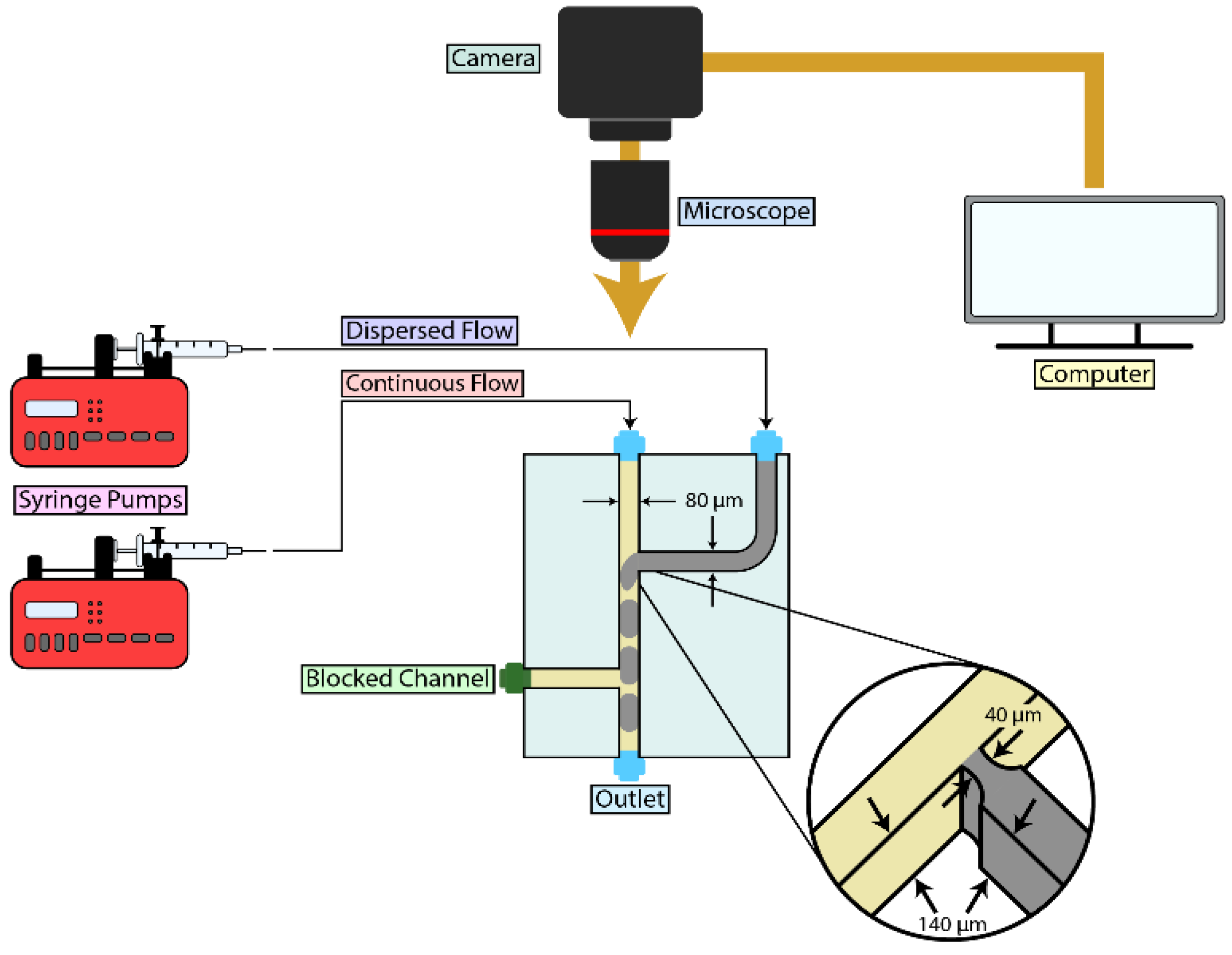 Applsci 15 10290 g001 Applsci 15 10290 g001