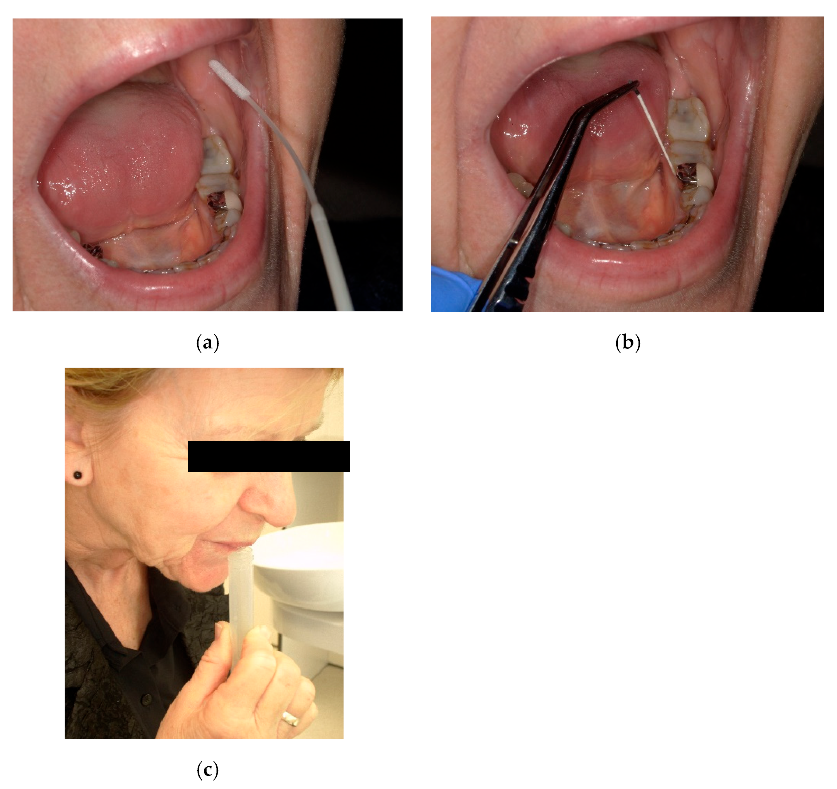 Applsci 15 10297 g001