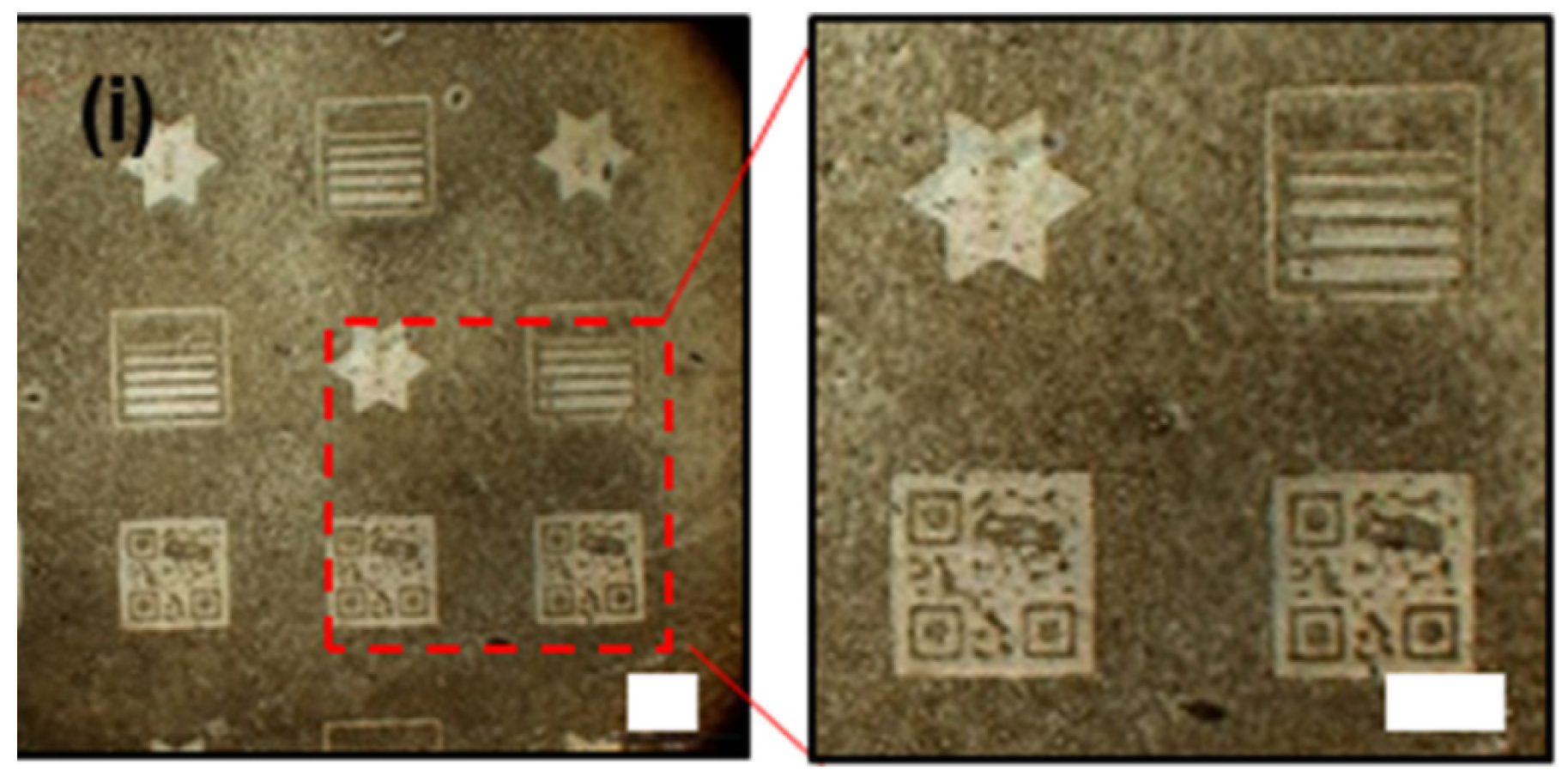 Applsci 15 10298 g013