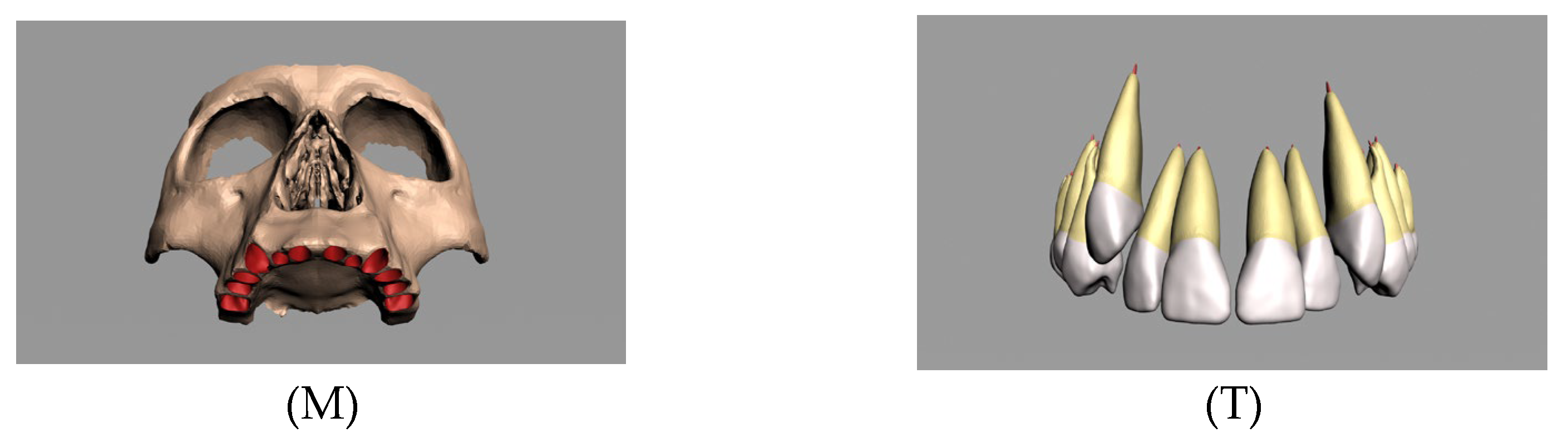 Applsci 15 10307 g002