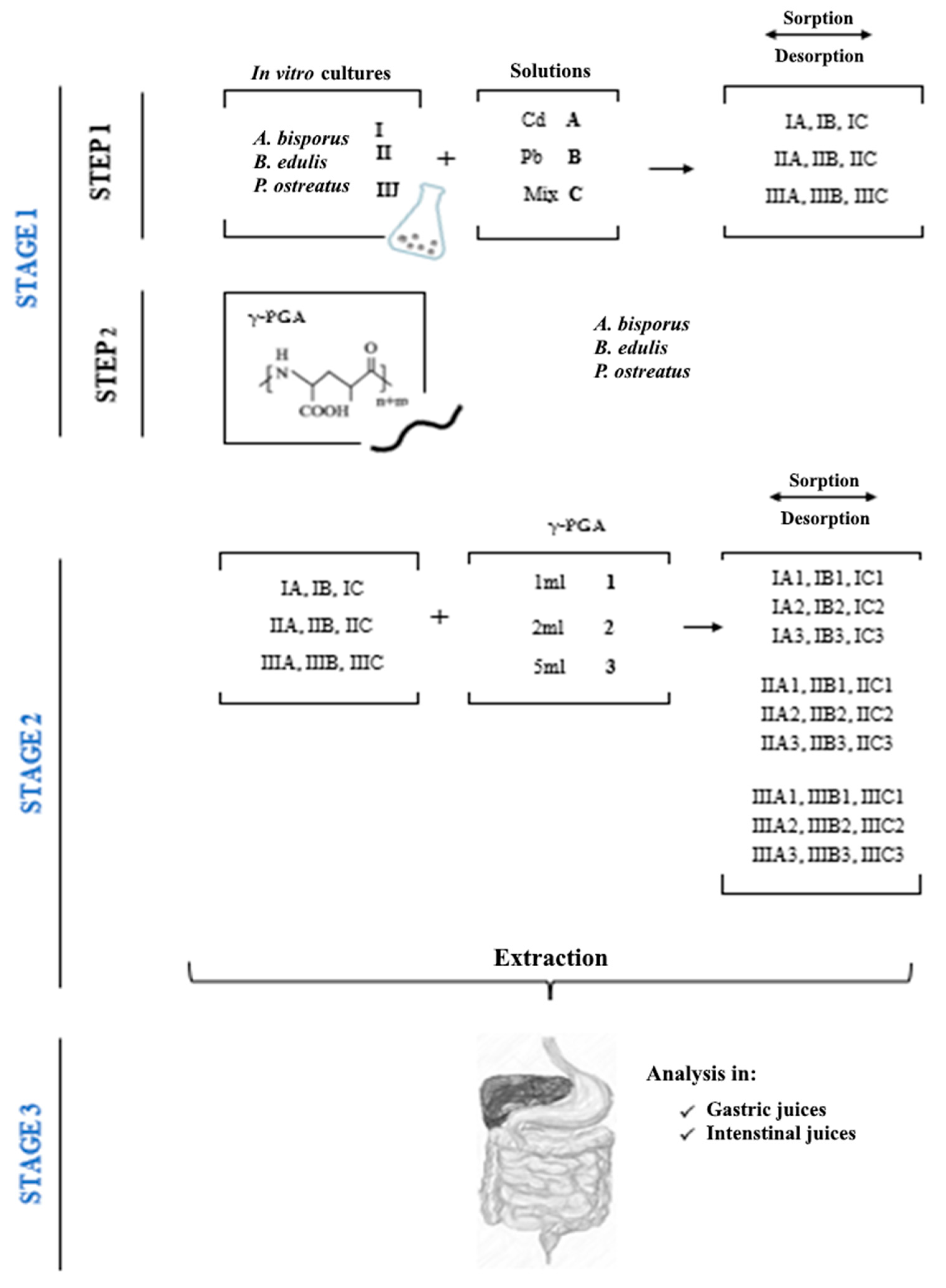 Applsci 15 10311 g001
