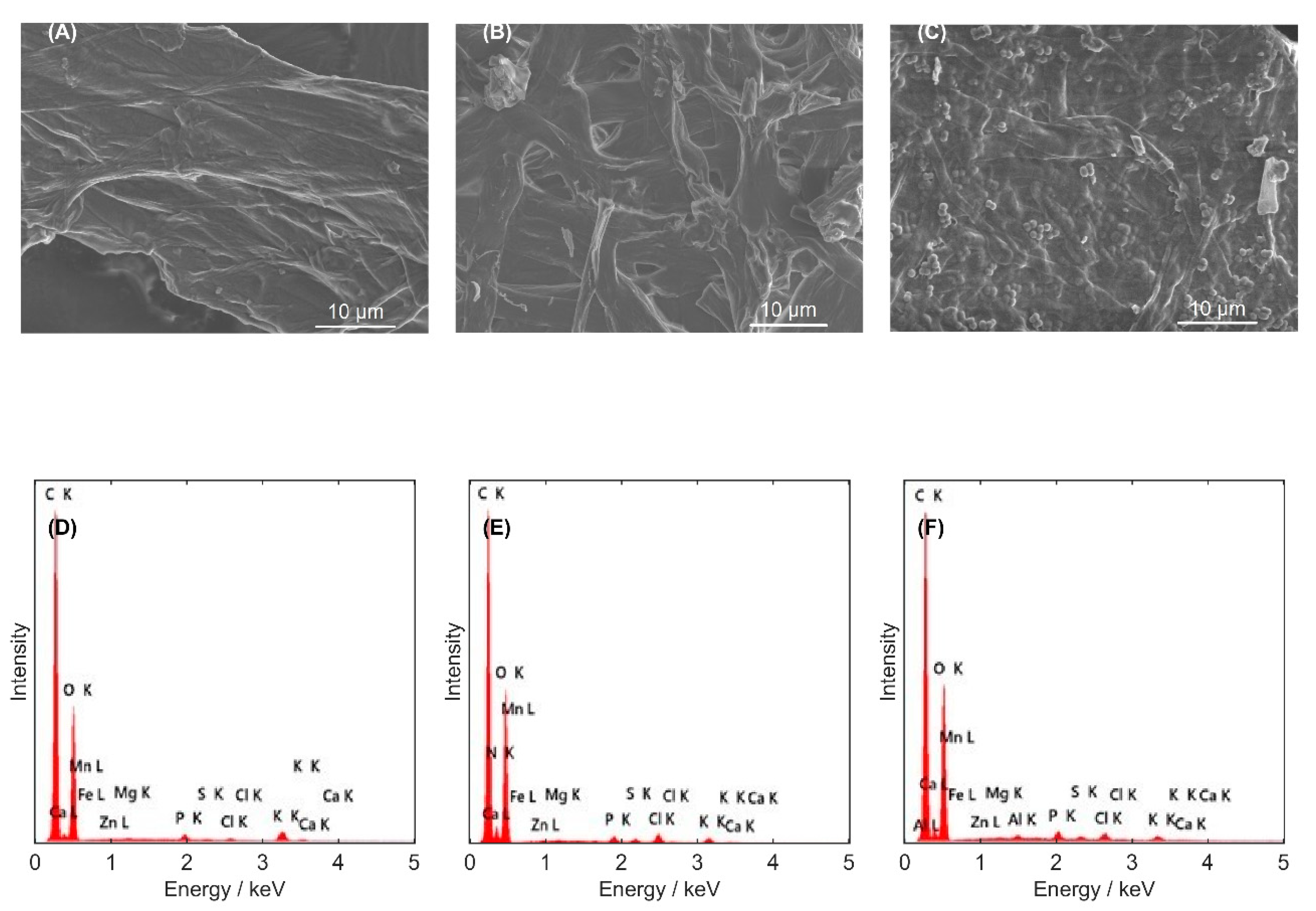 Applsci 15 10311 g002