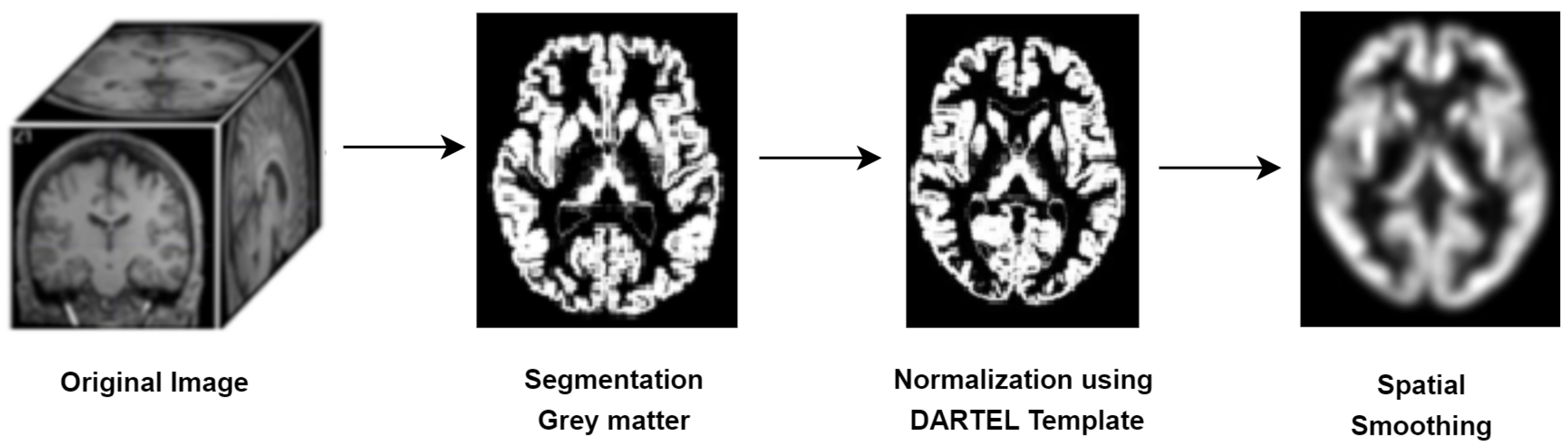 Applsci 15 10312 g001 Applsci 15 10312 g001