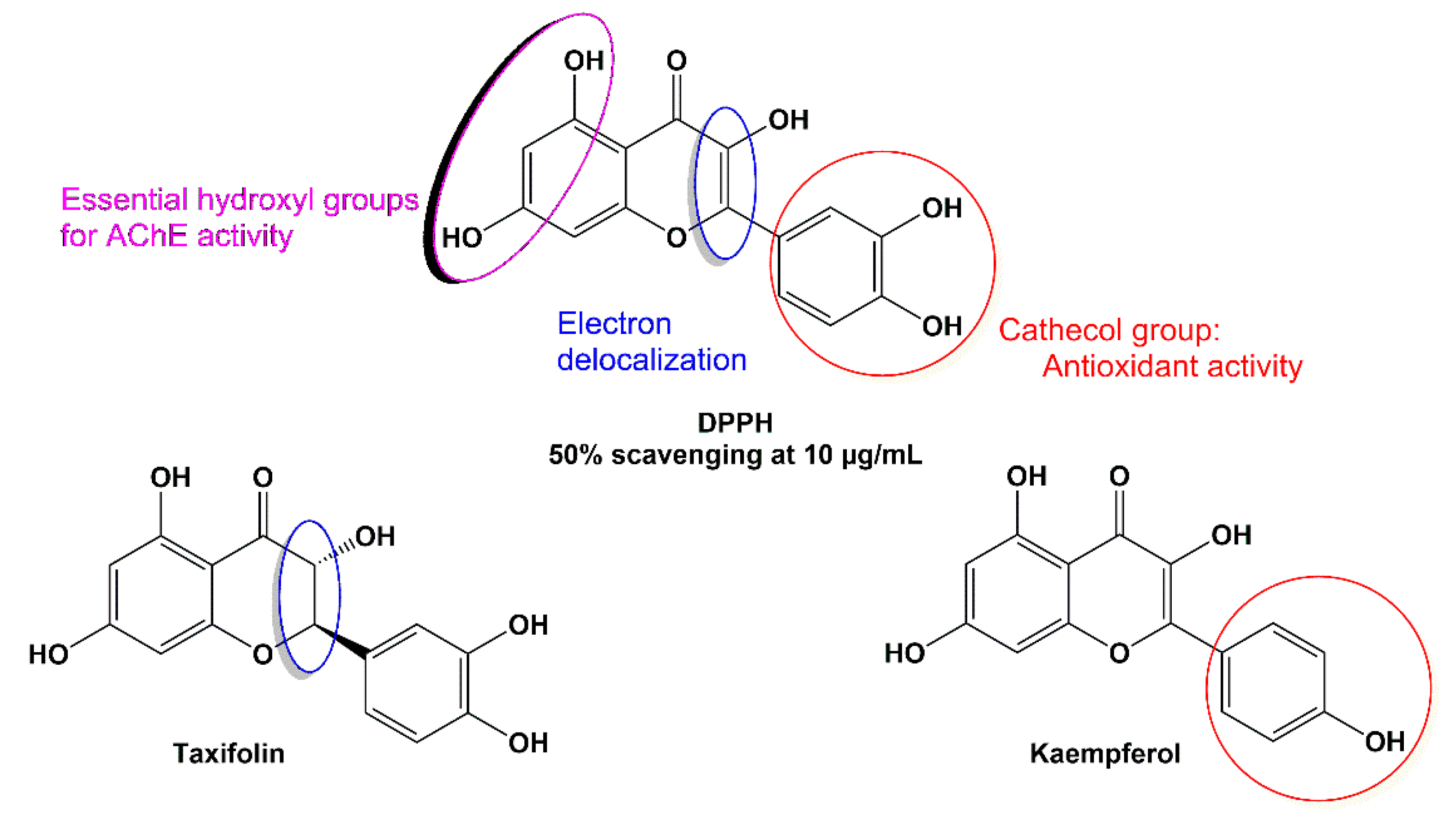 Applsci 15 10340 g010 Applsci 15 10340 g010