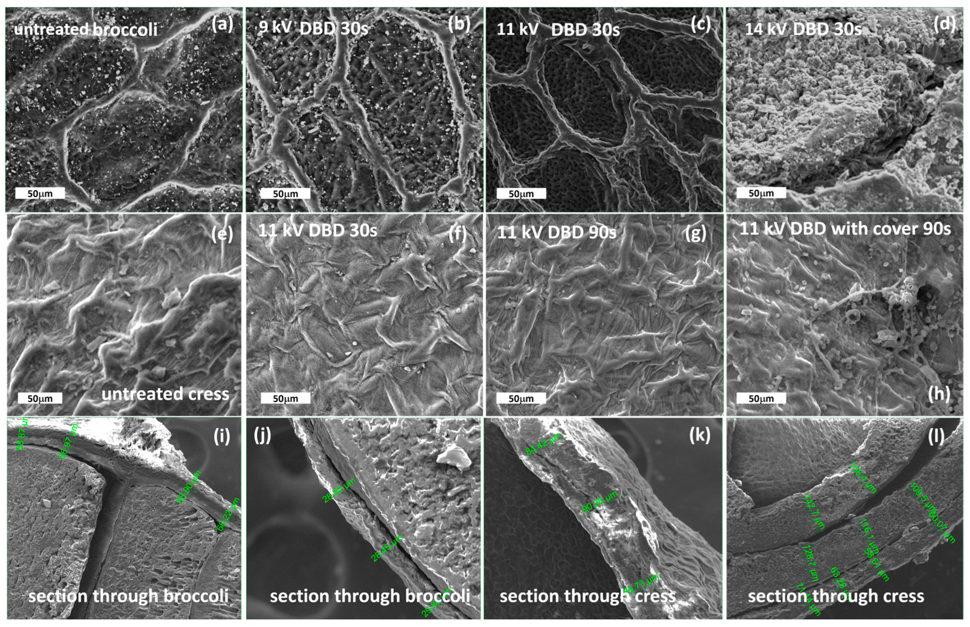 Applsci 15 10366 g003