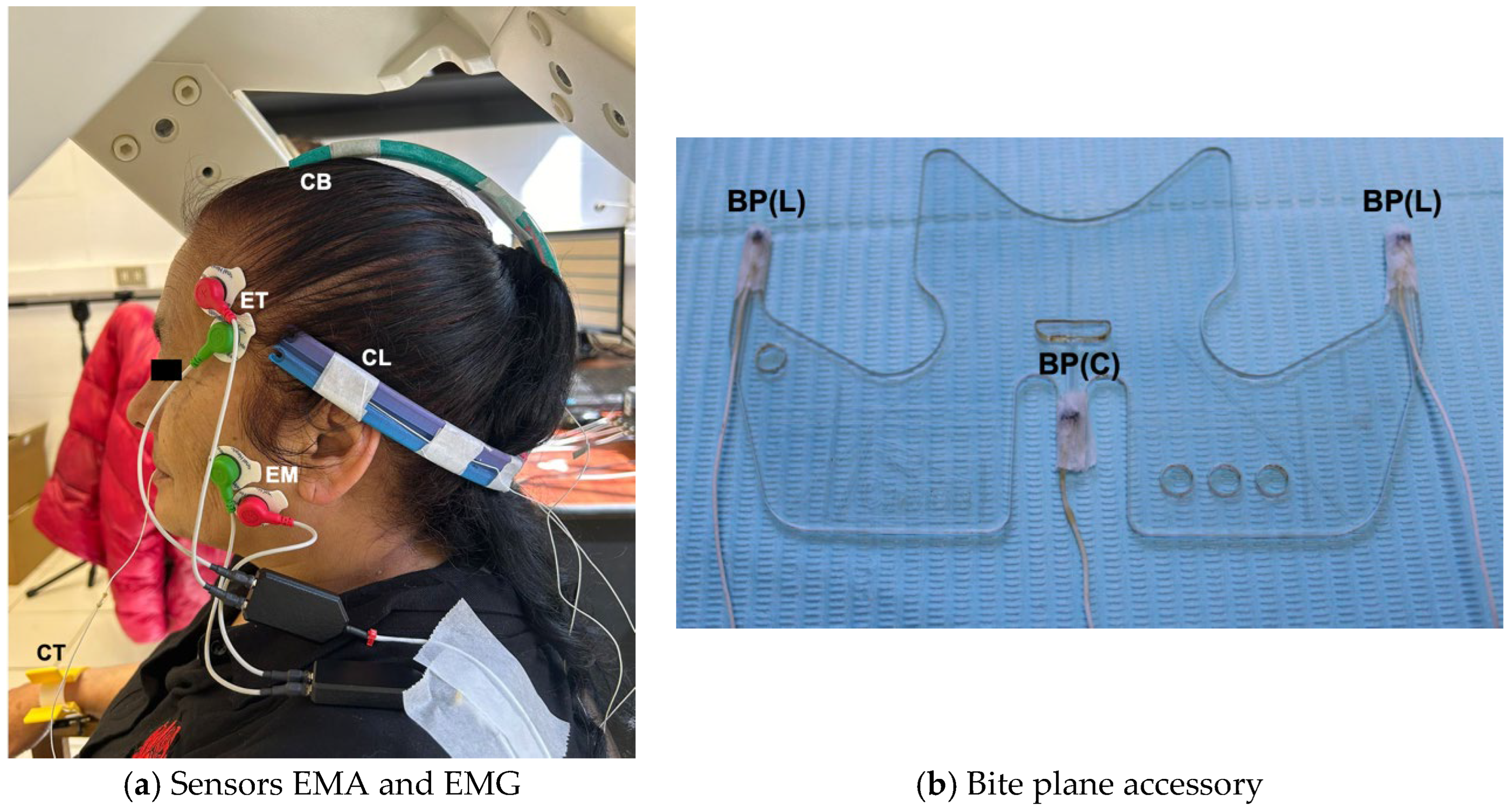 Applsci 15 10391 g001 Applsci 15 10391 g001
