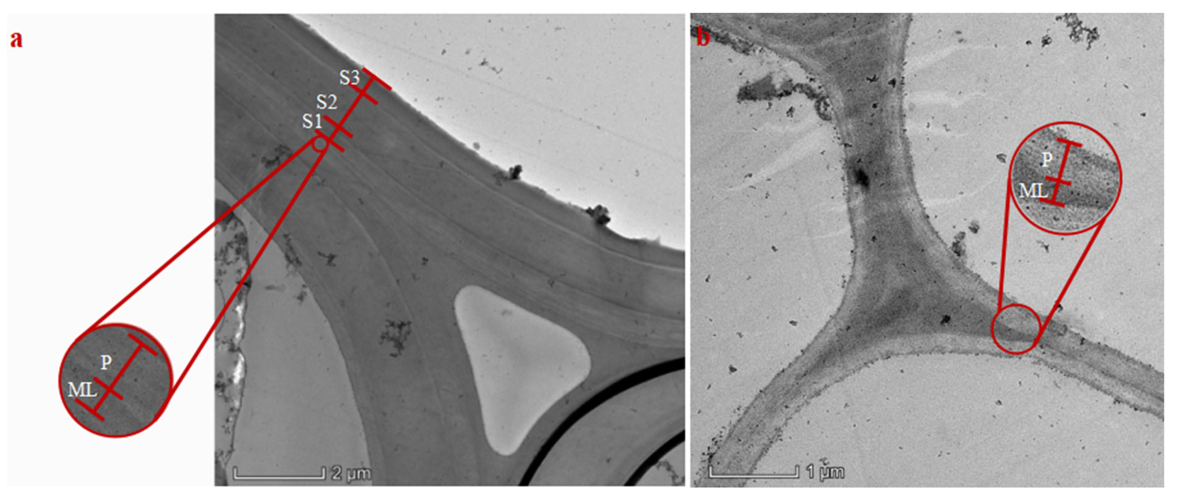 Applsci 15 10424 g004