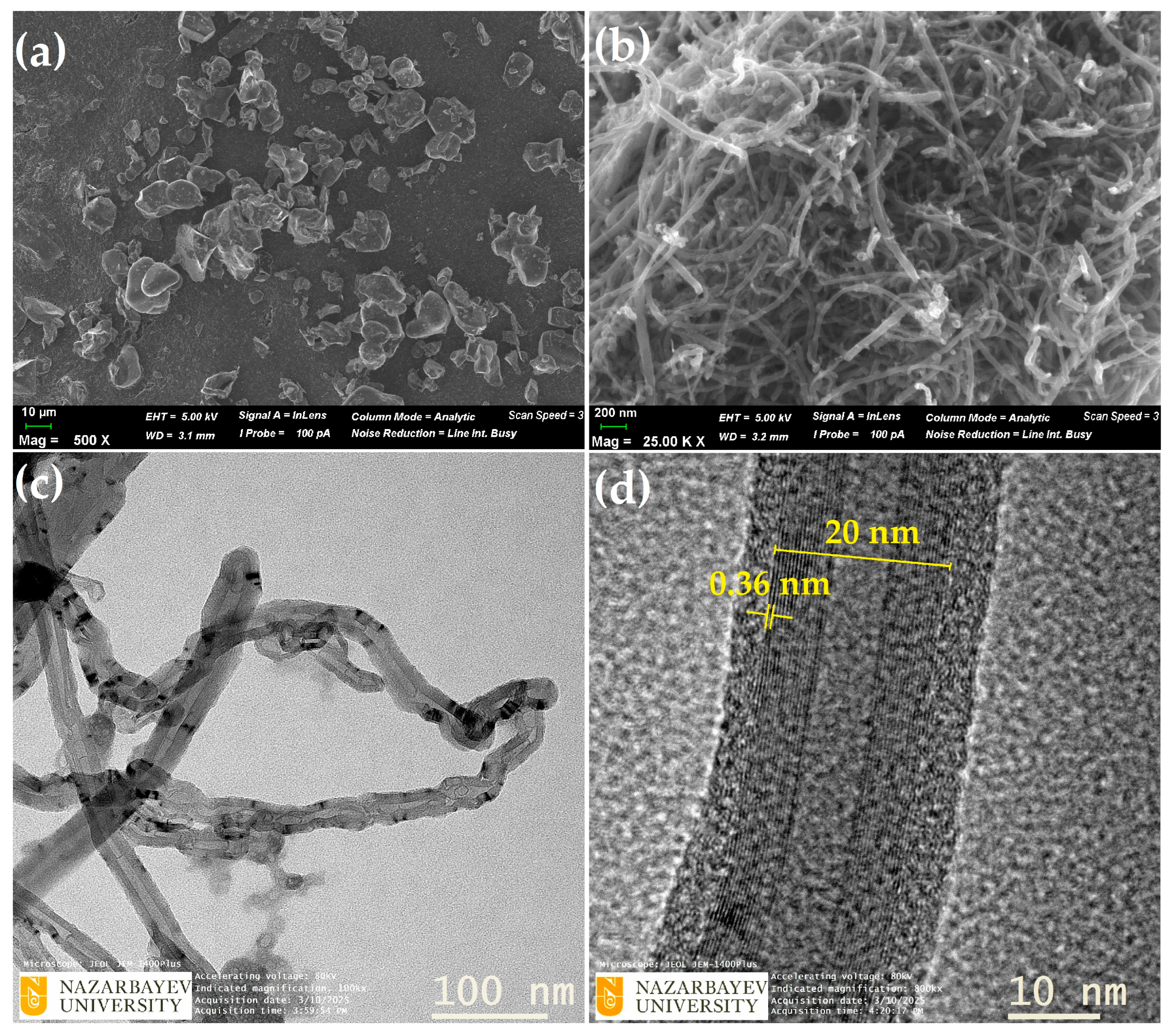 Applsci 15 10427 g001 Applsci 15 10427 g001