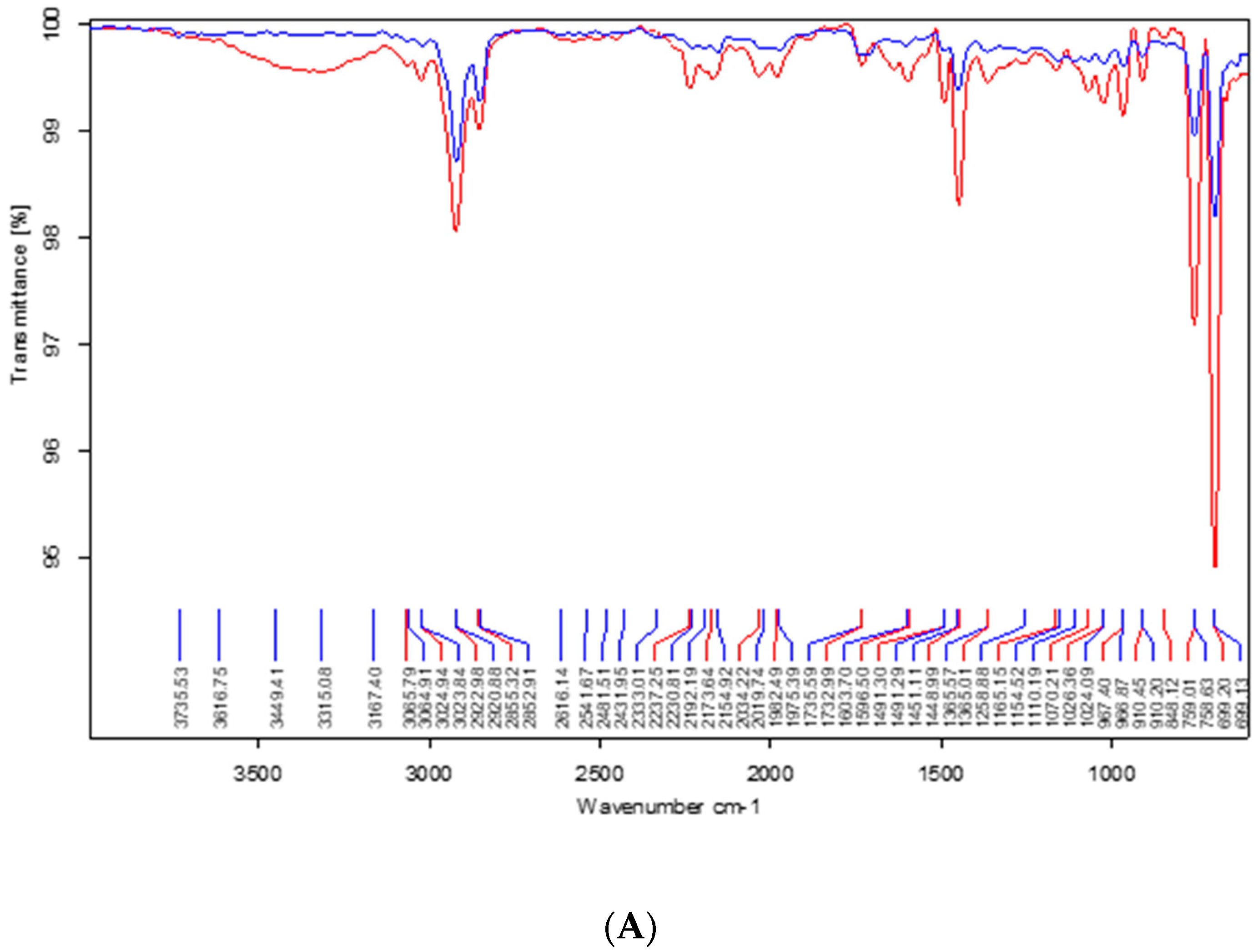 Applsci 15 10428 g002a Applsci 15 10428 g002a
