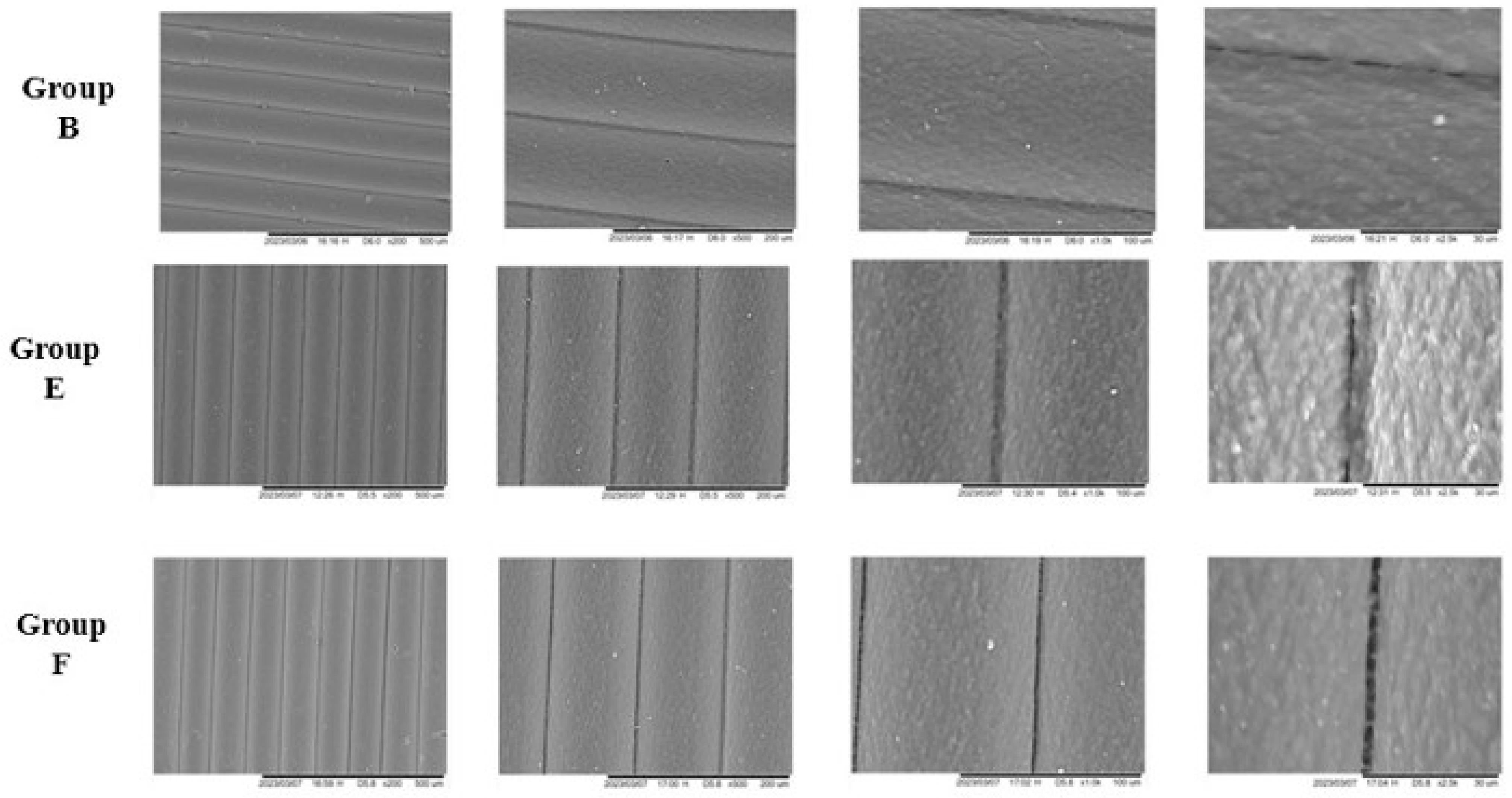 Applsci 15 10428 g003 Applsci 15 10428 g003