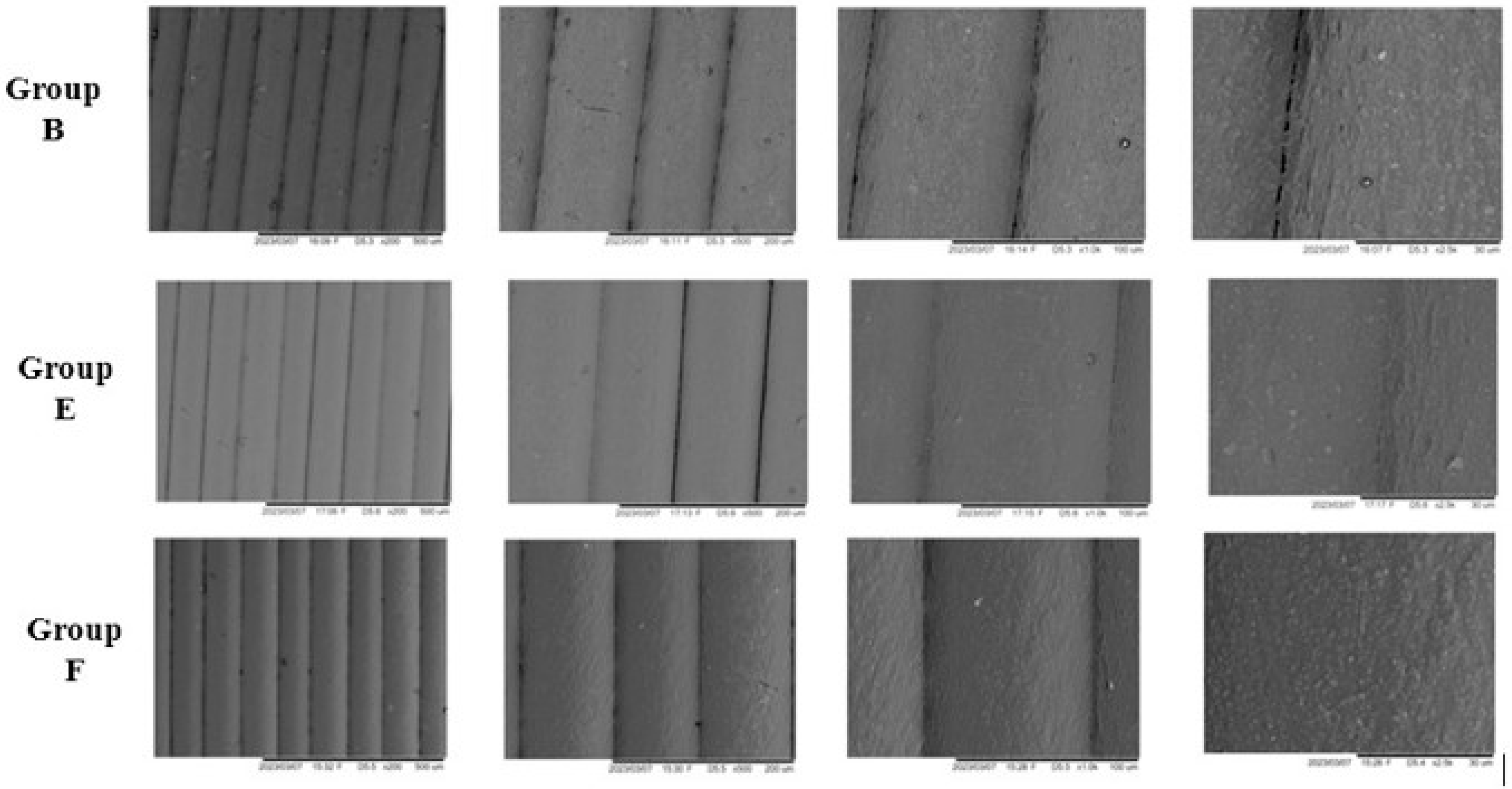 Applsci 15 10428 g004 Applsci 15 10428 g004