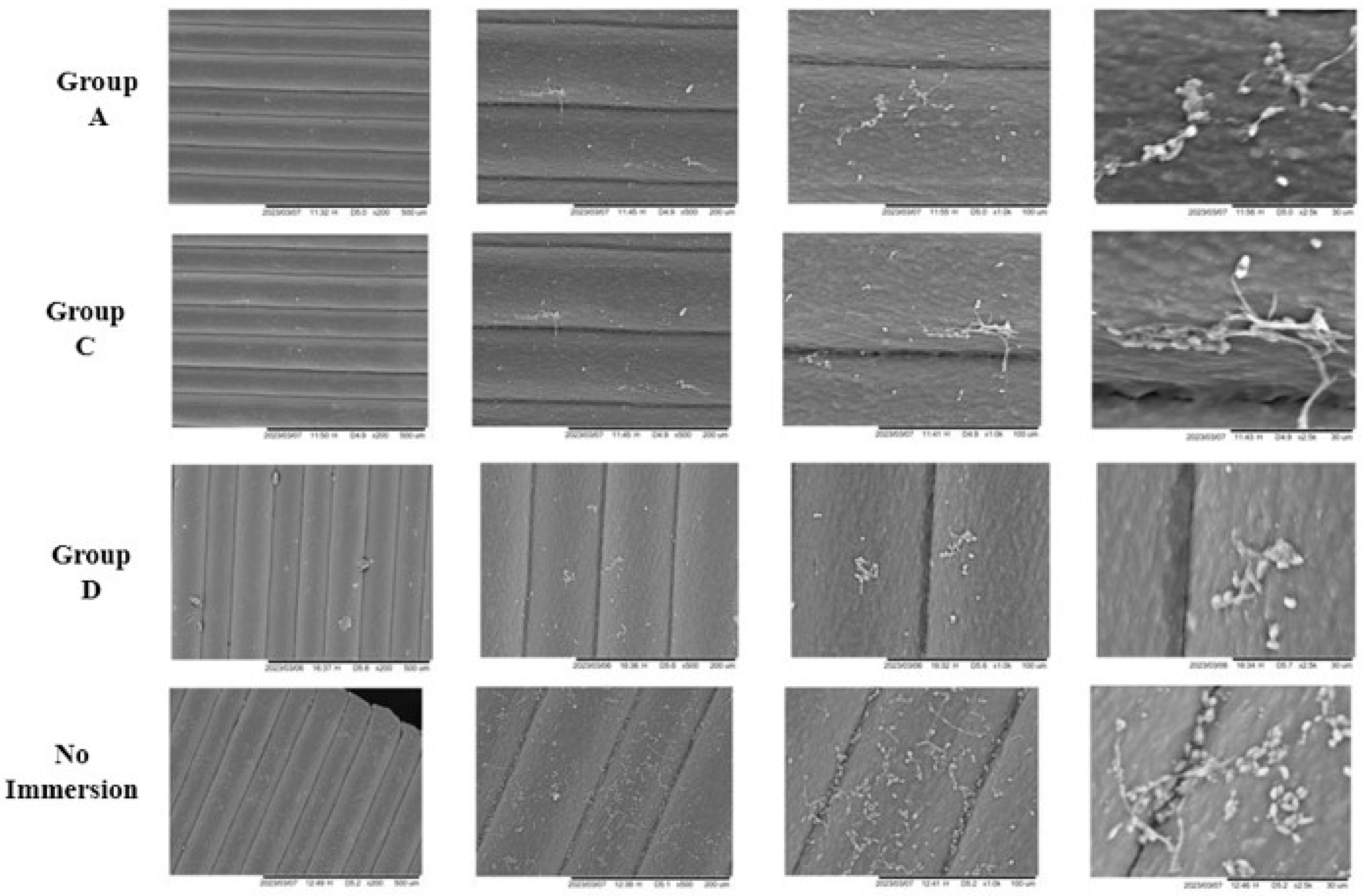 Applsci 15 10428 g005 Applsci 15 10428 g005