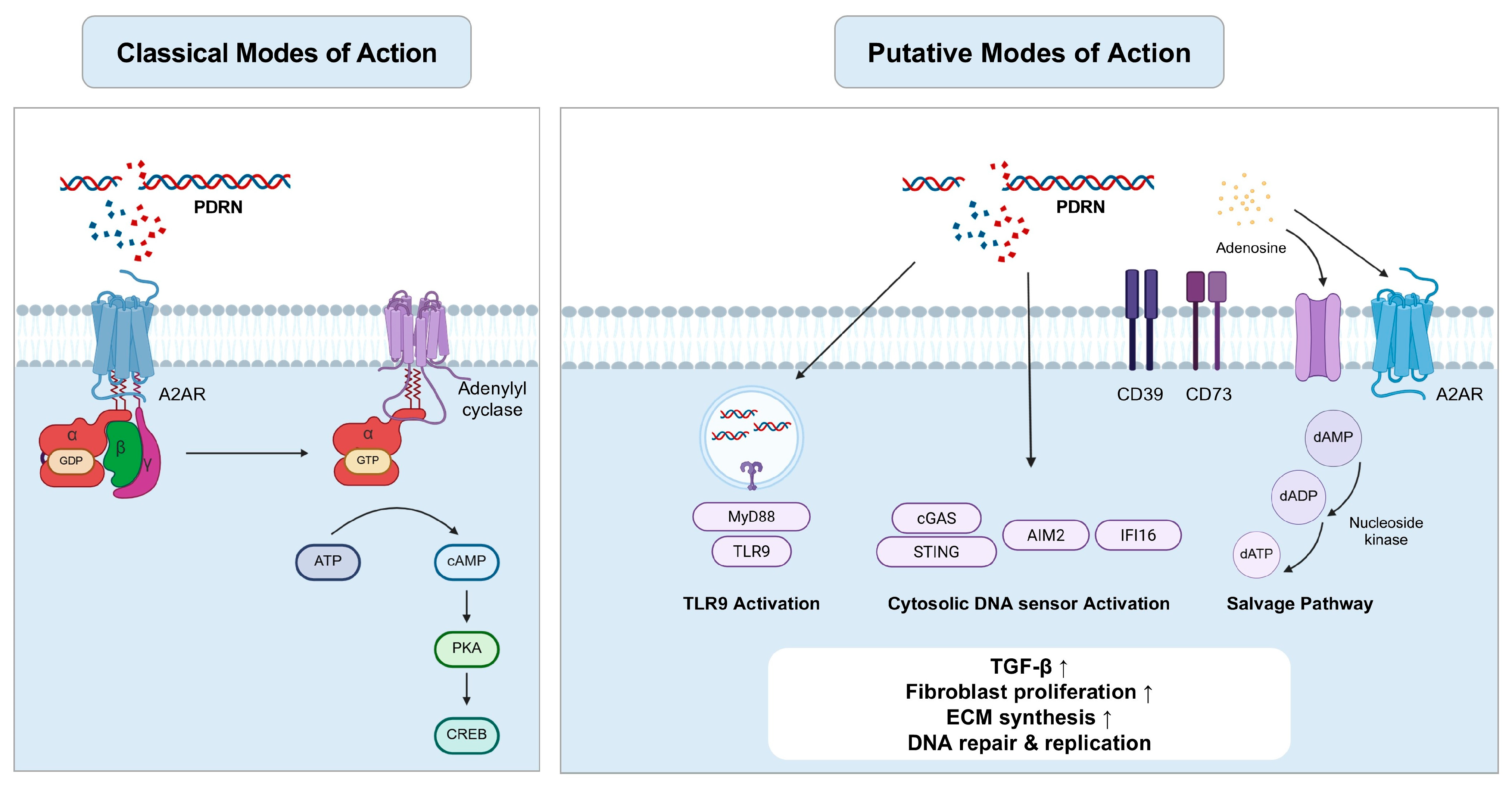 Applsci 15 10437 g001 Applsci 15 10437 g001