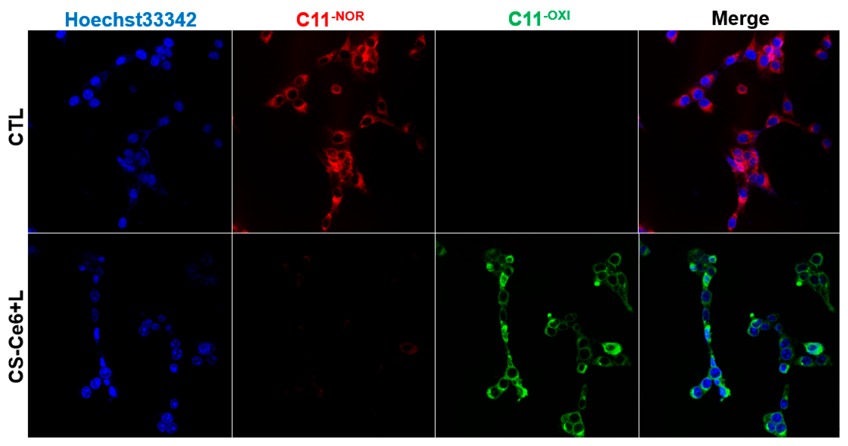Applsci 15 10446 g009 Applsci 15 10446 g009