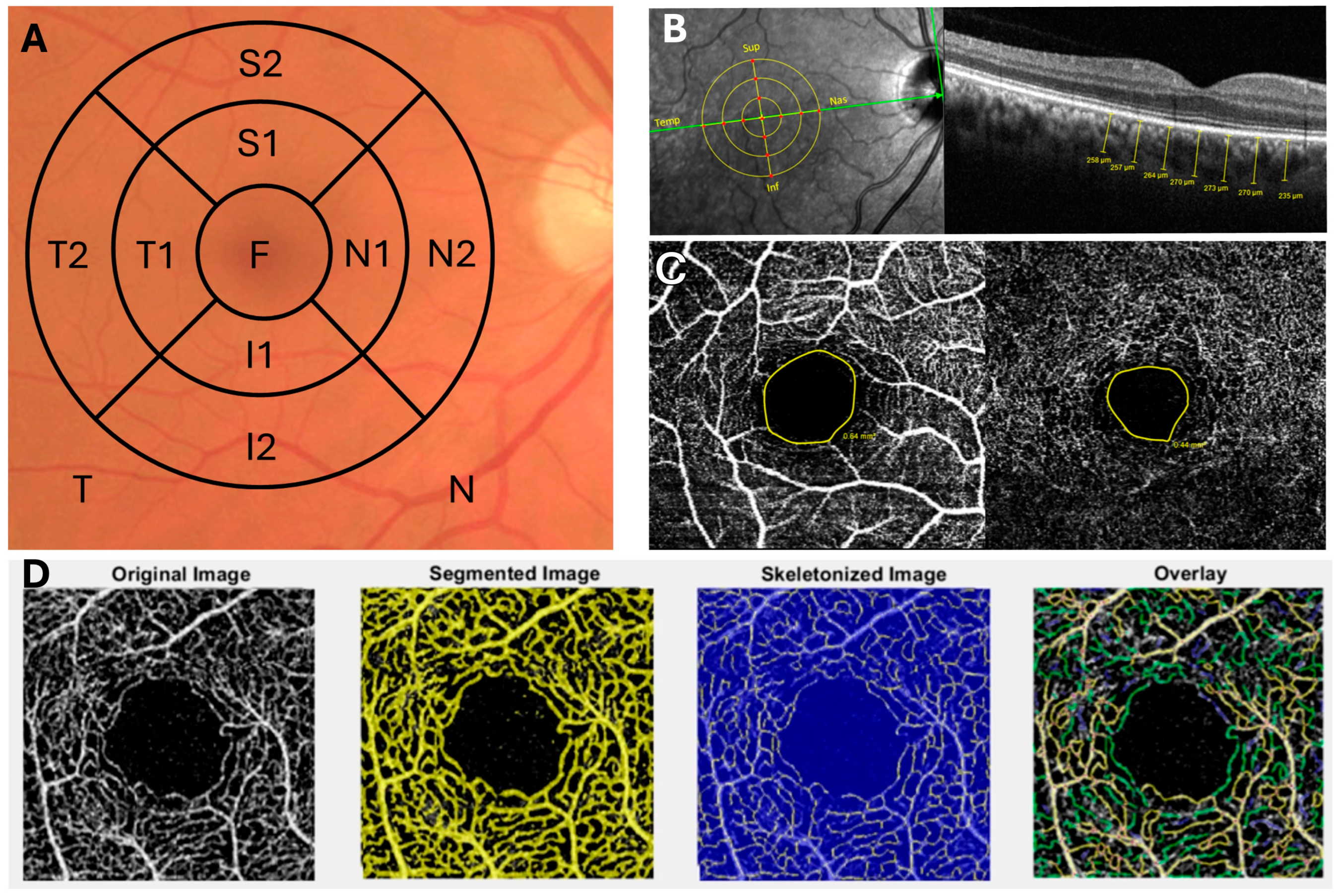 Applsci 15 10458 g001 Applsci 15 10458 g001
