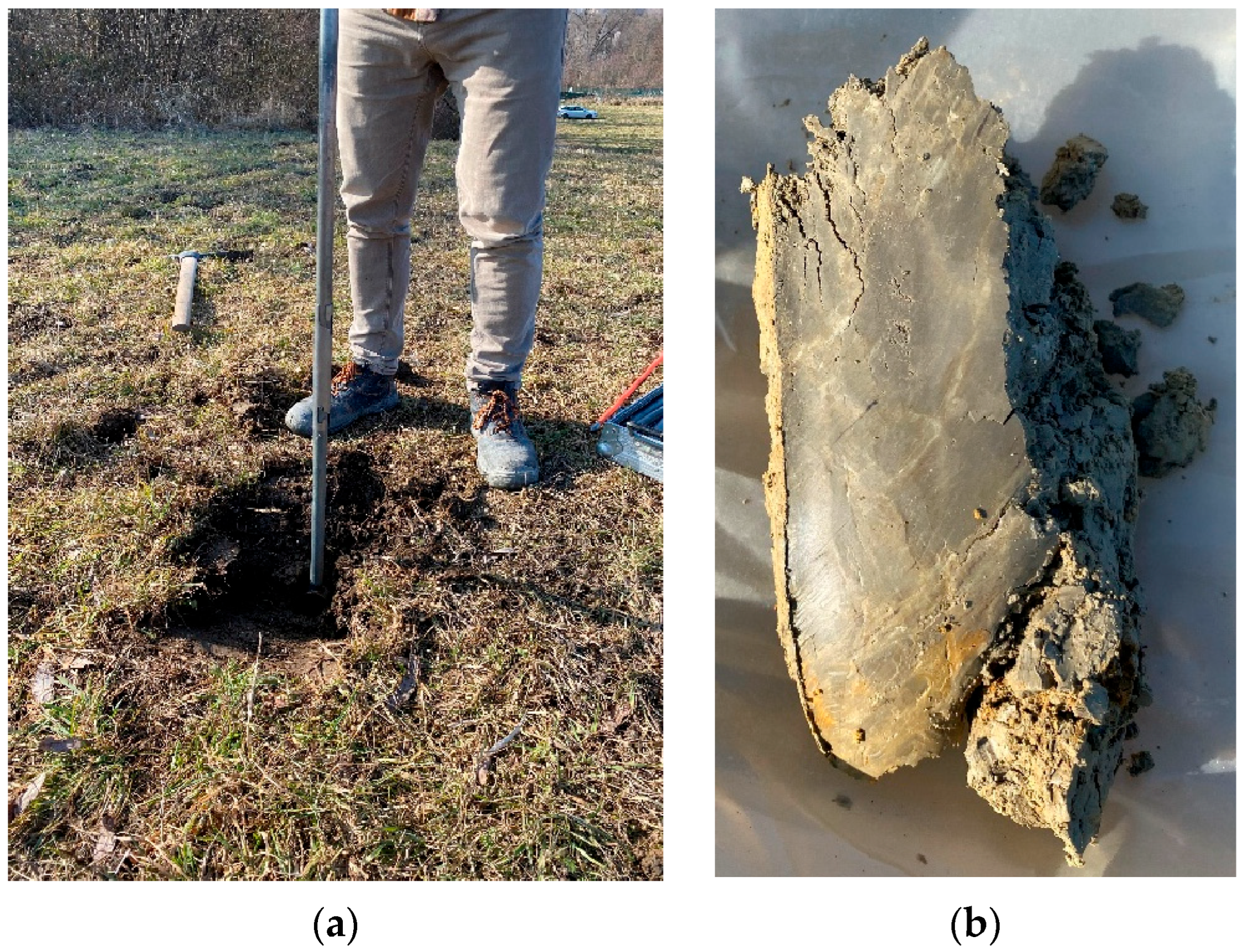 Applsci 15 10463 g001