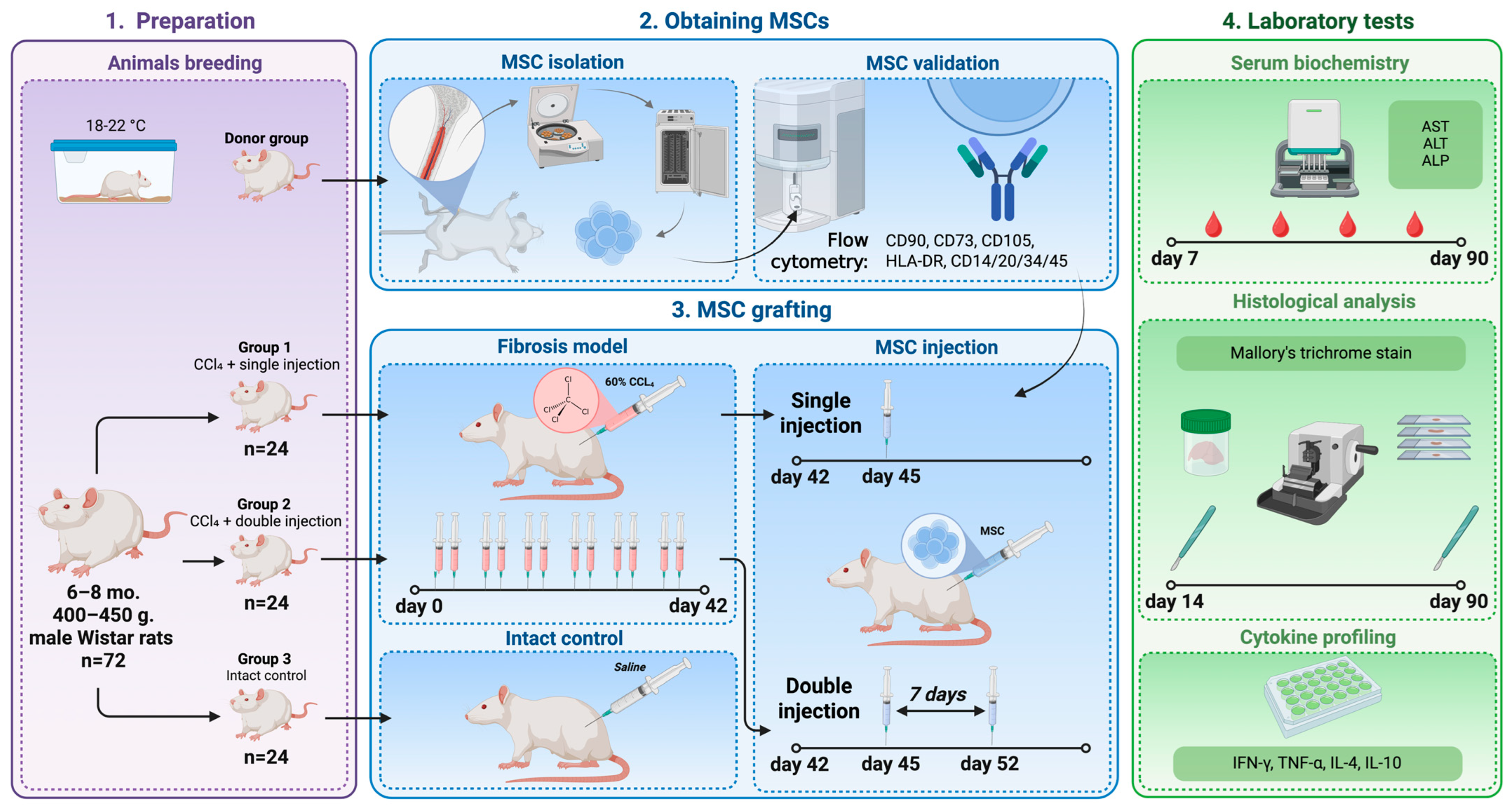 まお様 トレーサー Traser BIG DATE ALARM WATCH WITH BLACK PVD CASE